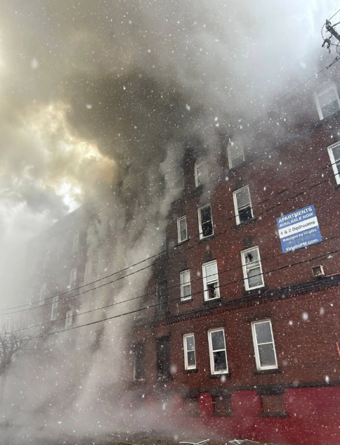 Help Us and Our Cats Recover After a Total Loss Fire campaign photo, 4 of 8