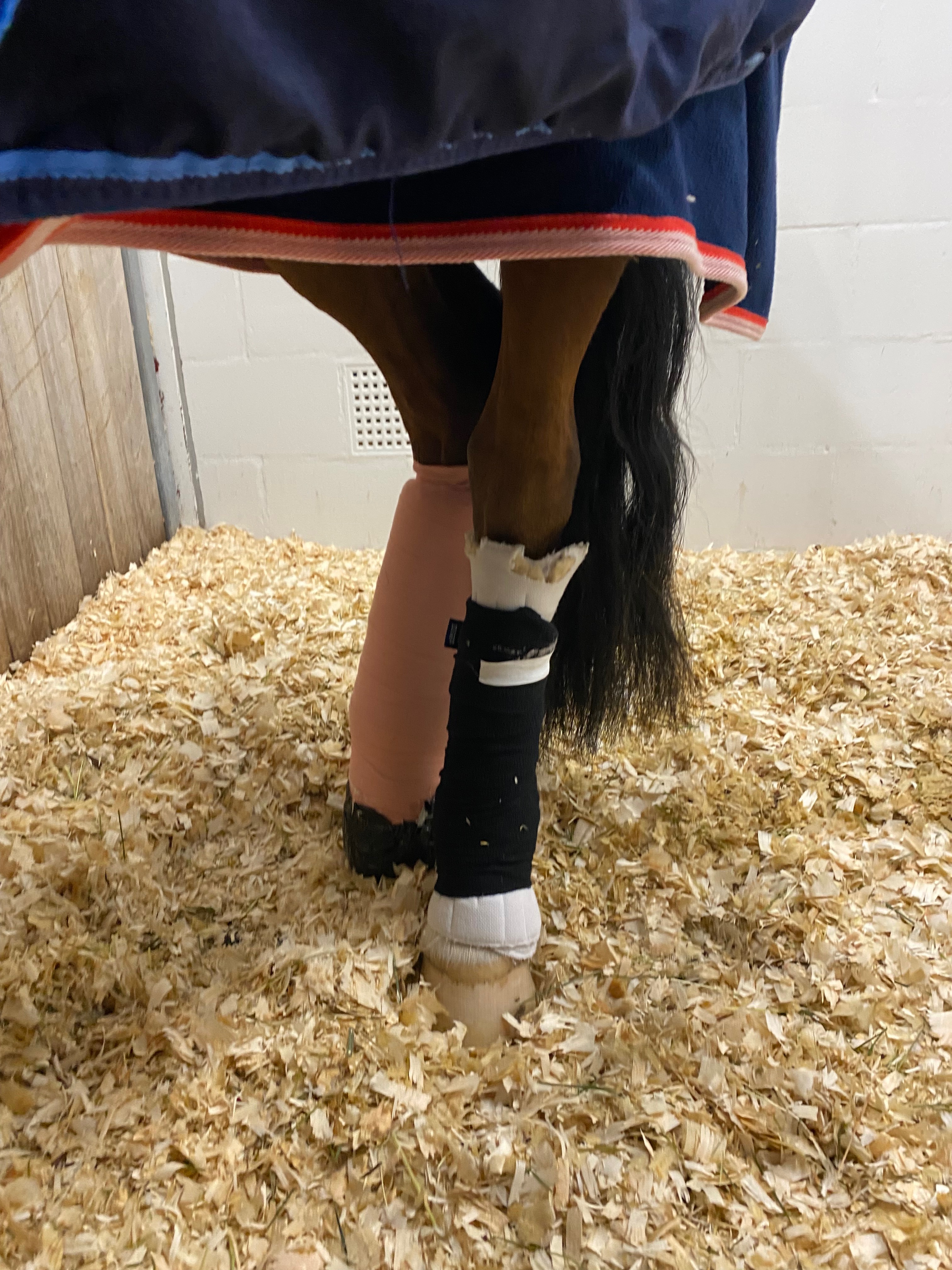 Funding Hopes recovery after serious injury campaign photo, 5 of 8