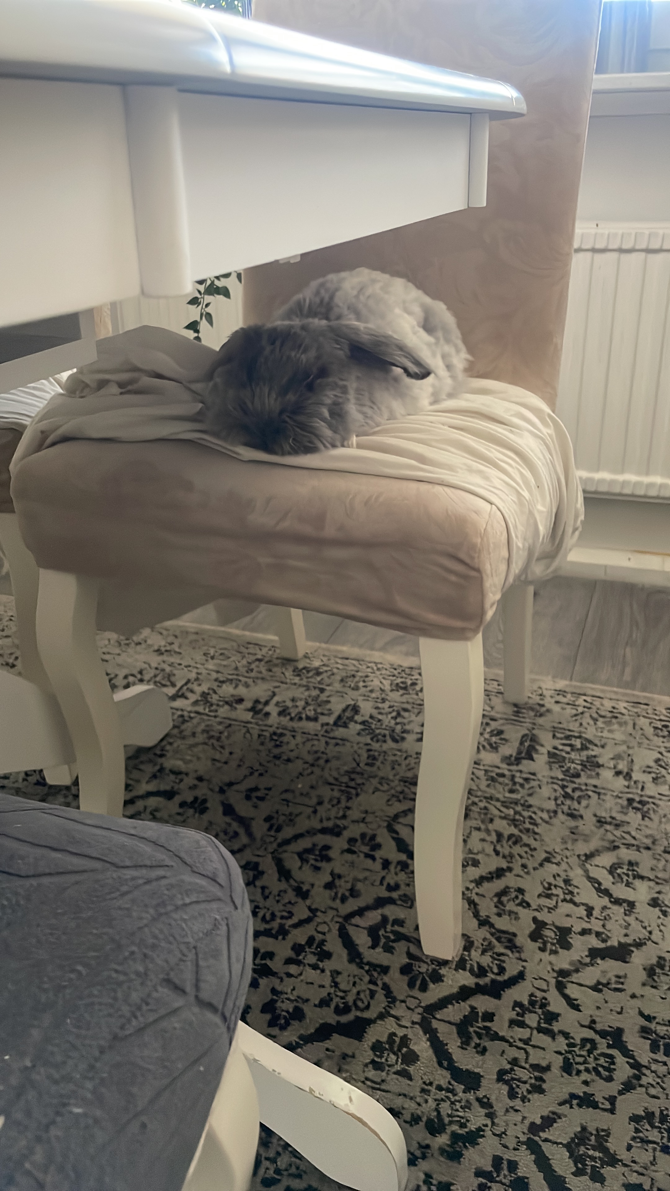 Help Us Save Jojo – Our Little Boy Needs surgery! campaign photo, 4 of 7