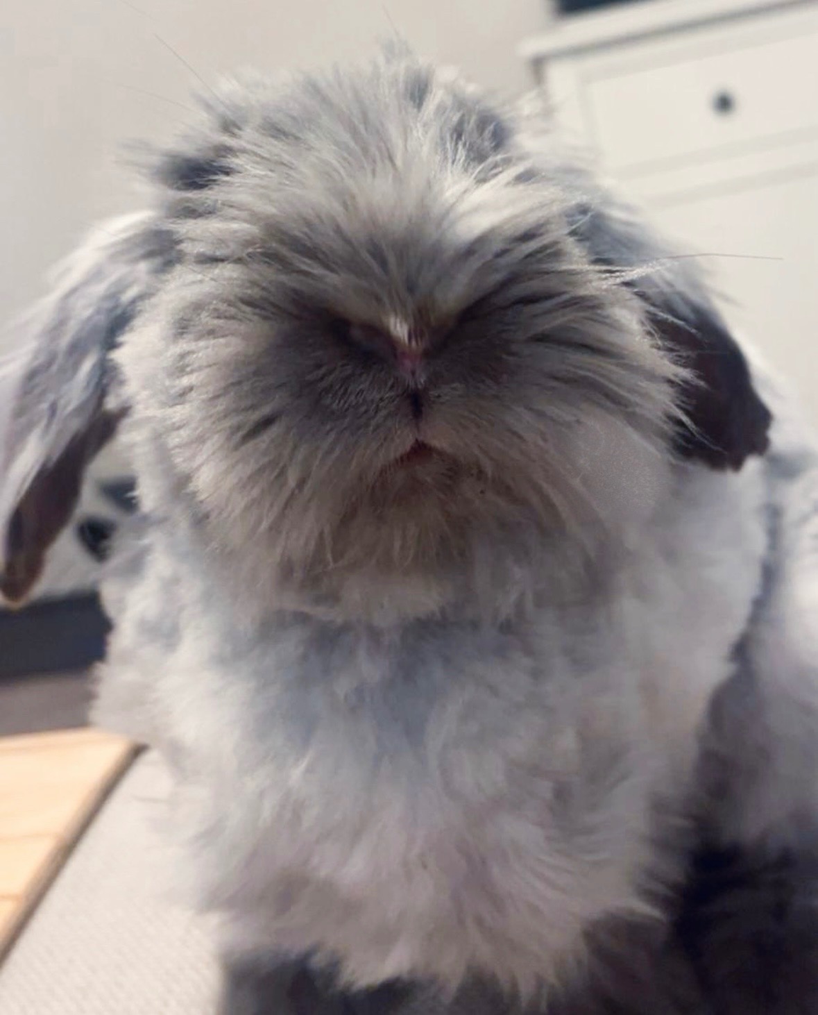 Help Us Save Jojo – Our Little Boy Needs surgery! campaign photo, 5 of 7