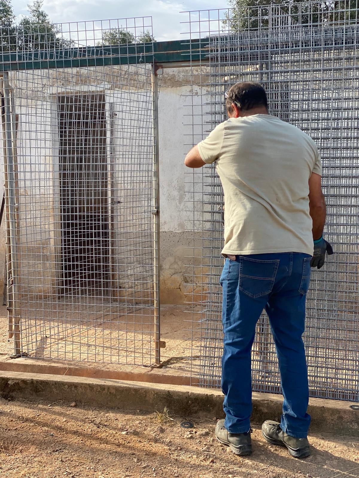 OBRAS NO CANIL DA SOS DOS ANIMAIS DE MOURA campaign photo, 5 of 8