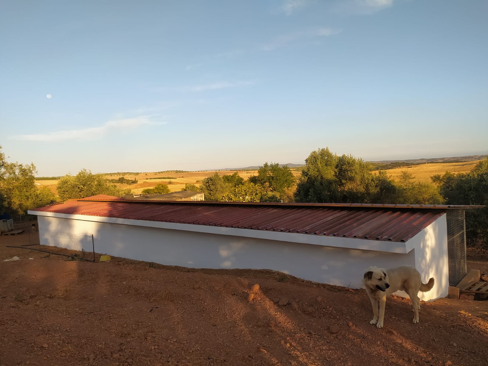 OBRAS NO CANIL DA SOS DOS ANIMAIS DE MOURA campaign photo, 6 of 8