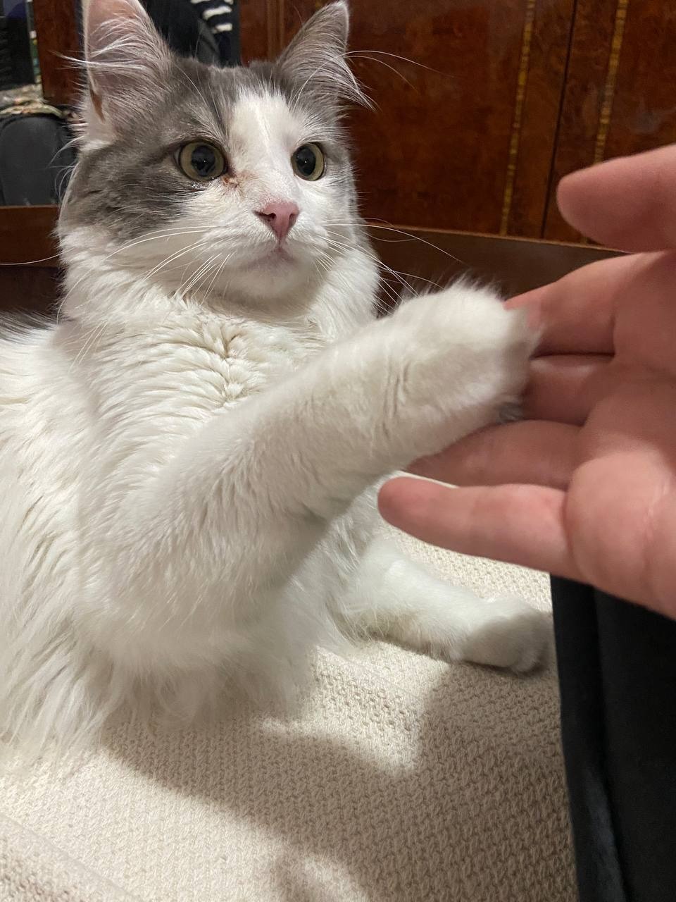 Waguri's Cute Dress in The Fragrant Flower, image size:960x1280