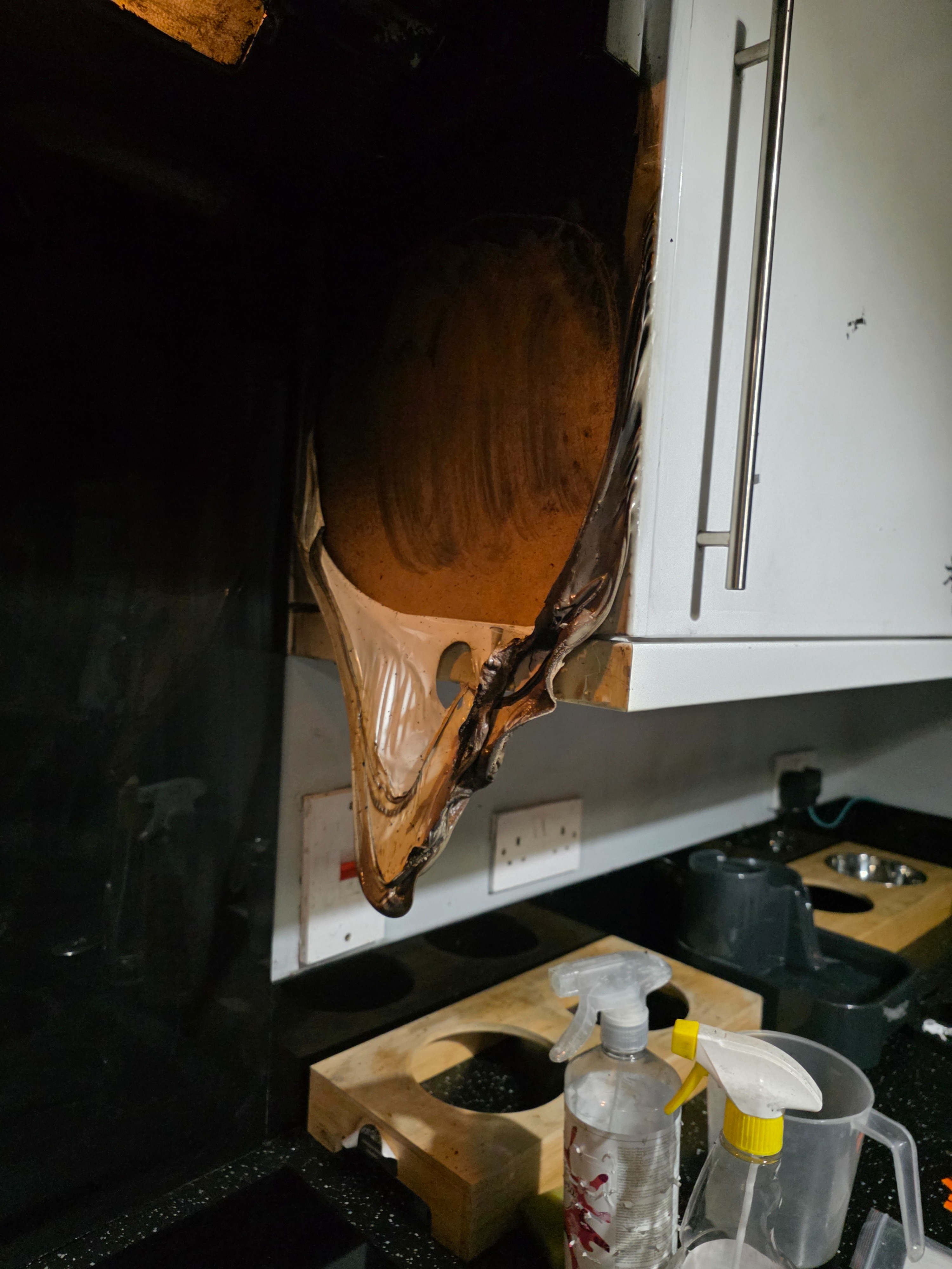 House fire campaign photo, 5 of 8