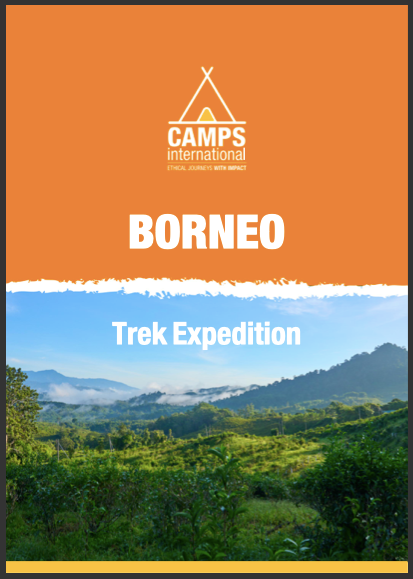 Taylor's School expedition to Borneo, 2027 campaign photo, 2 of 4