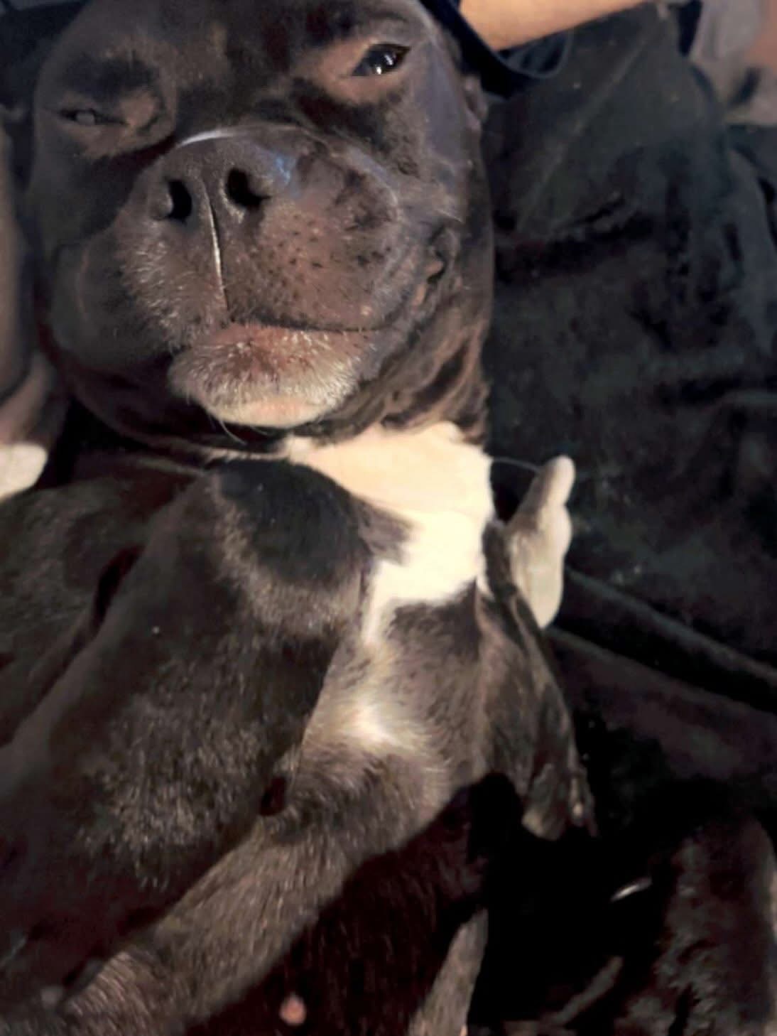 Helping my mom after a devastating house fire. campaign photo, 5 of 6