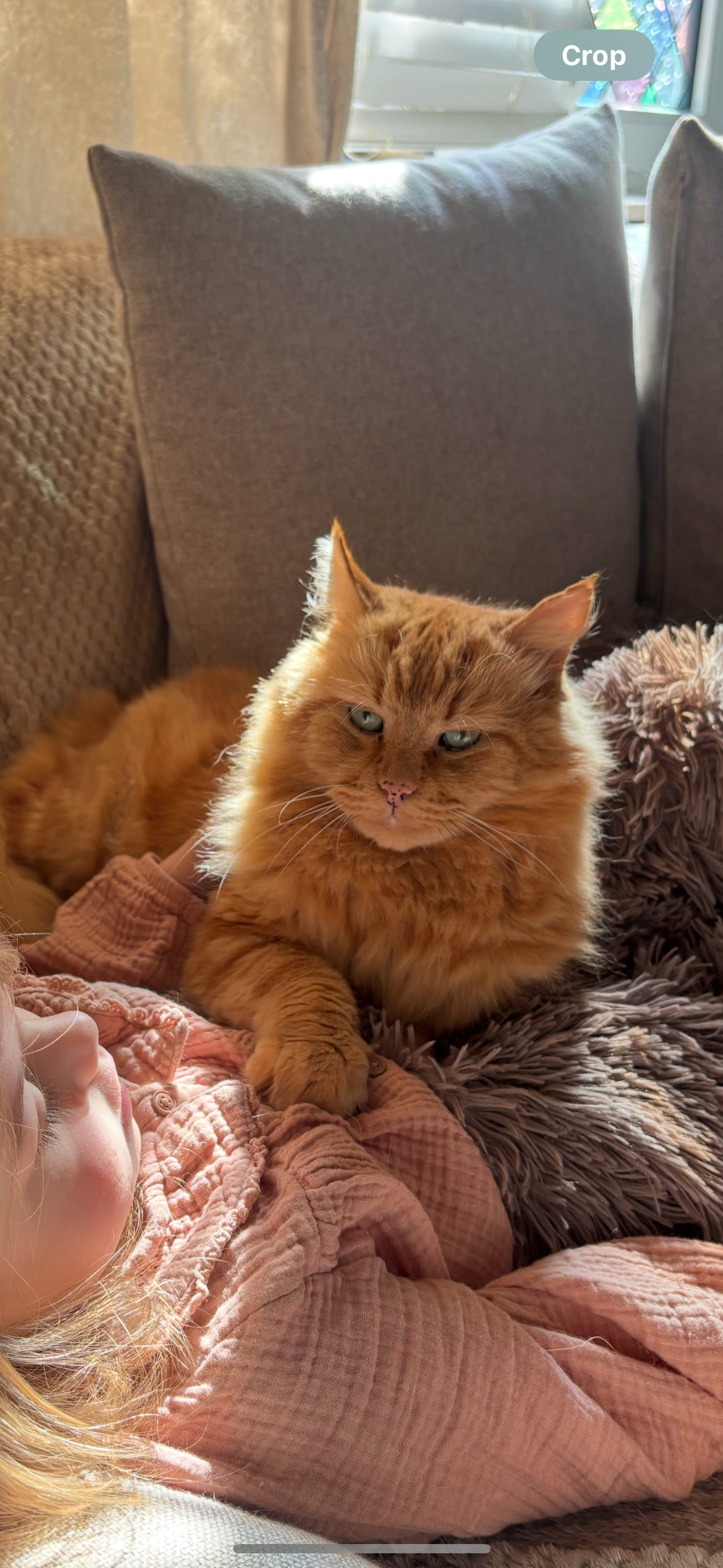 Help Ellesse cover vet bills campaign photo, 4 of 5