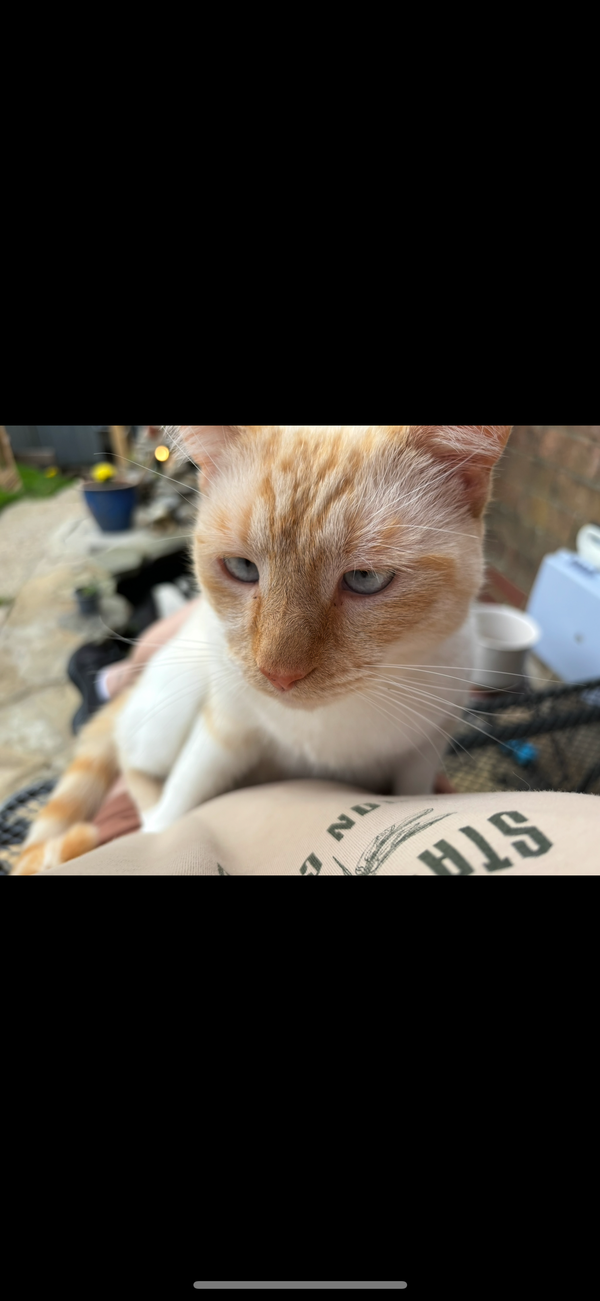 Help Ellesse cover vet bills campaign photo, 2 of 5