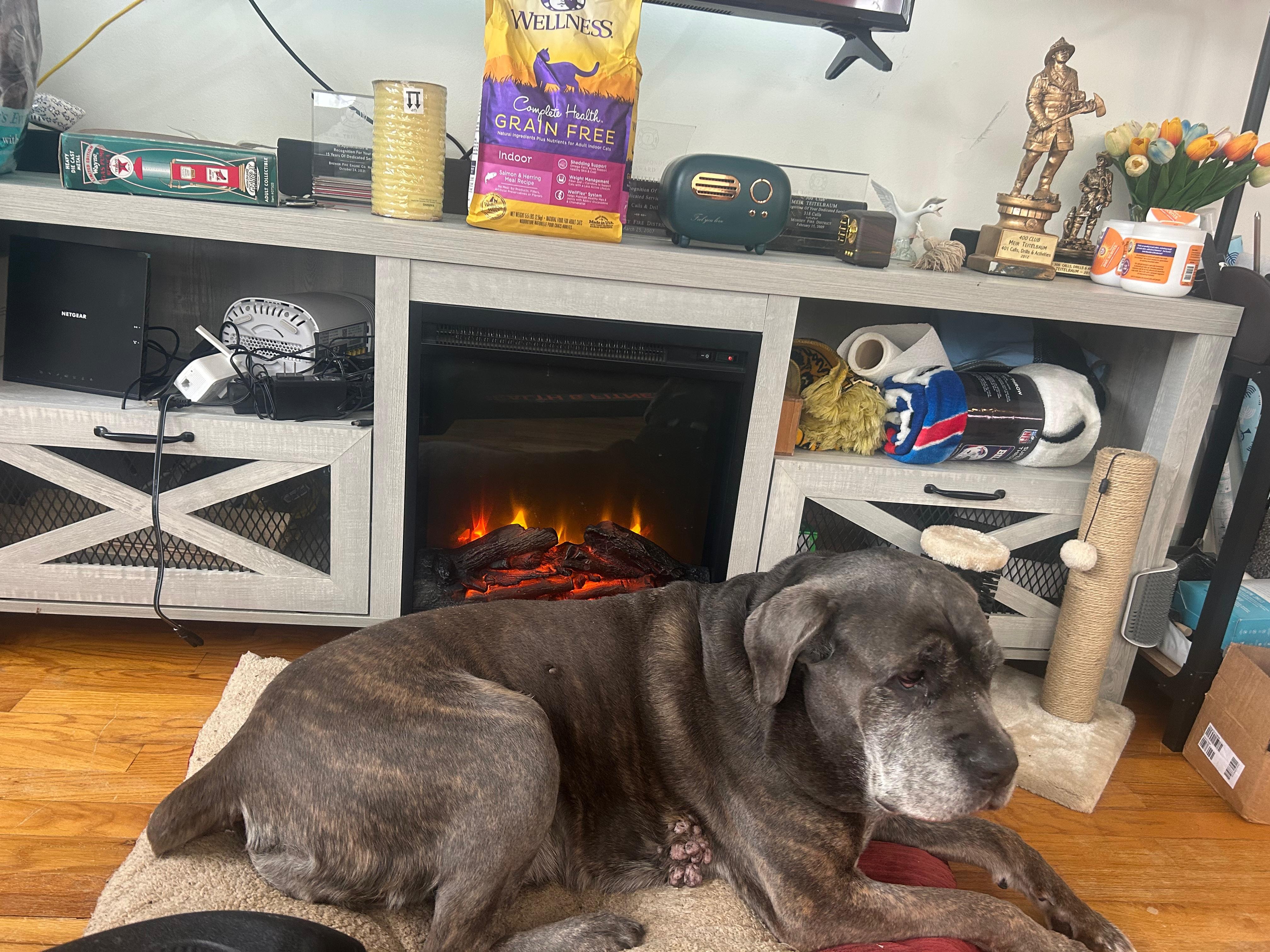 Help Rita: Senior Rescue Needs Surgery campaign photo, 6 of 8
