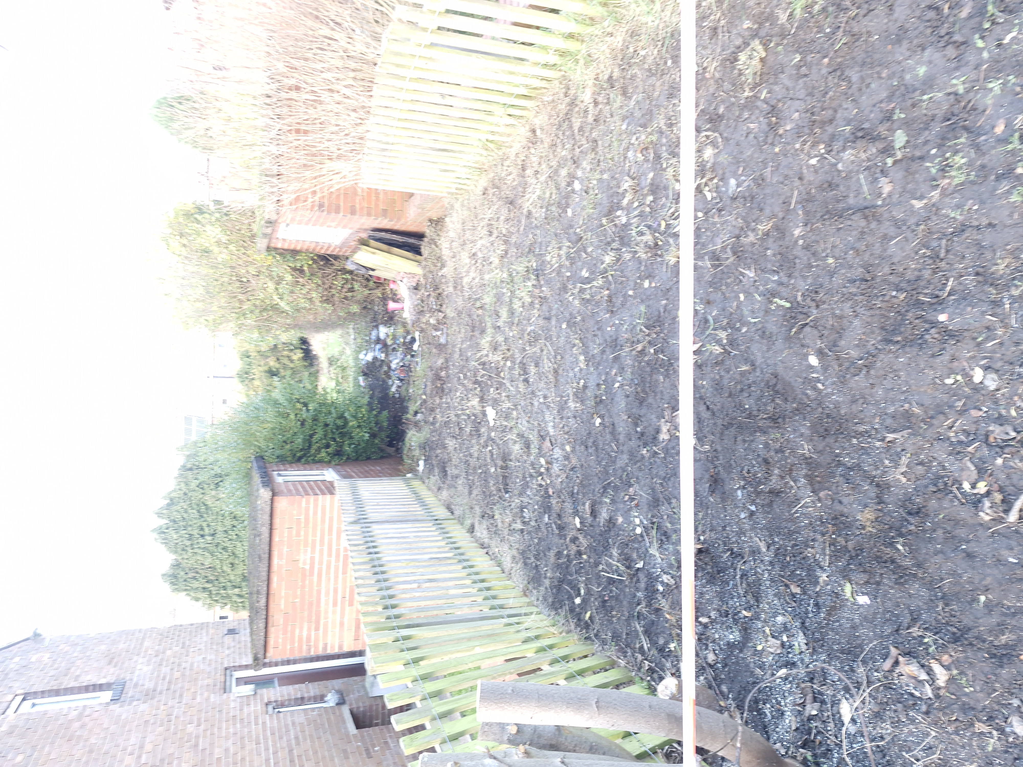 Support Our Community Garden initiative campaign photo, 4 of 8