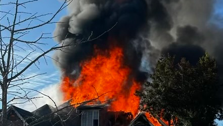 Support Abandoned to Adored’s Mission