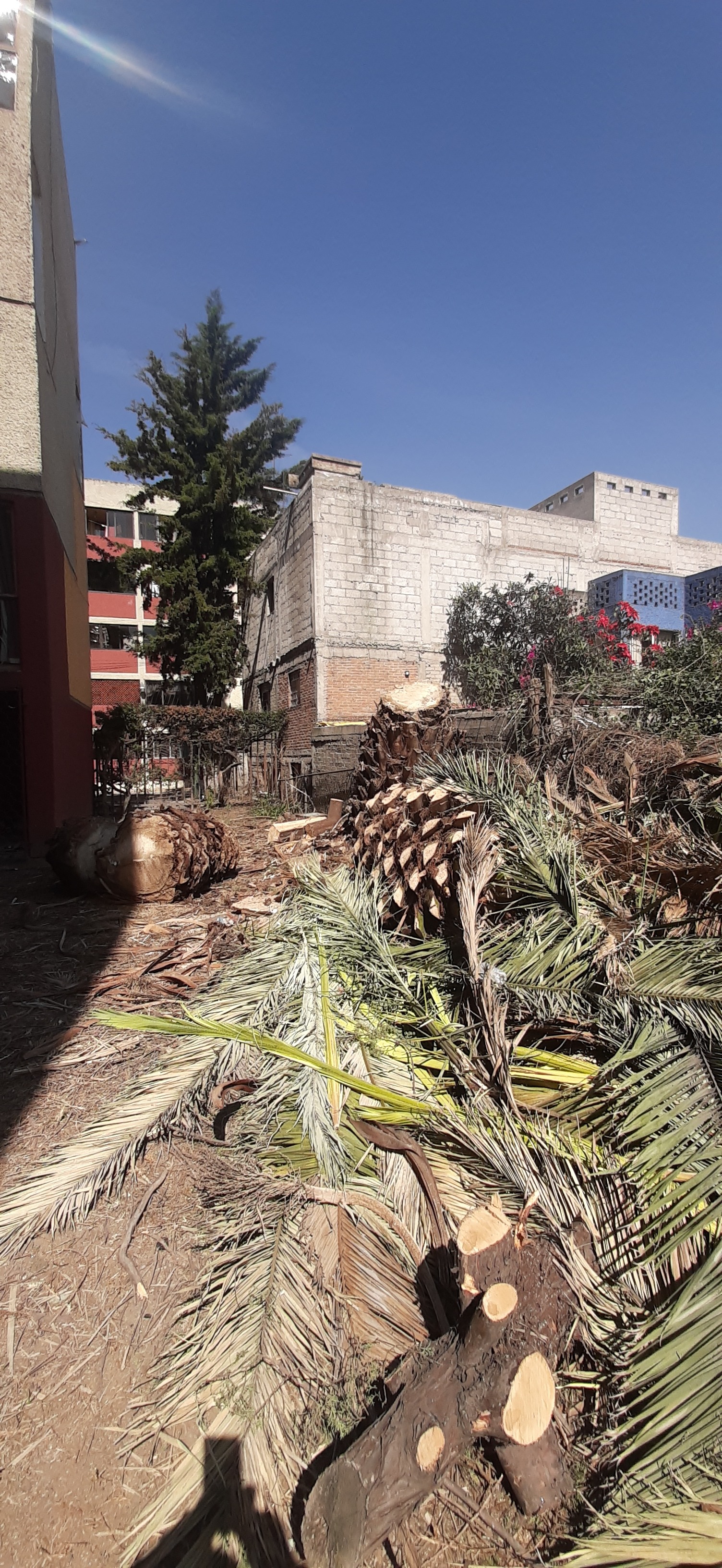 En reconstrucción campaign photo, 2 of 7