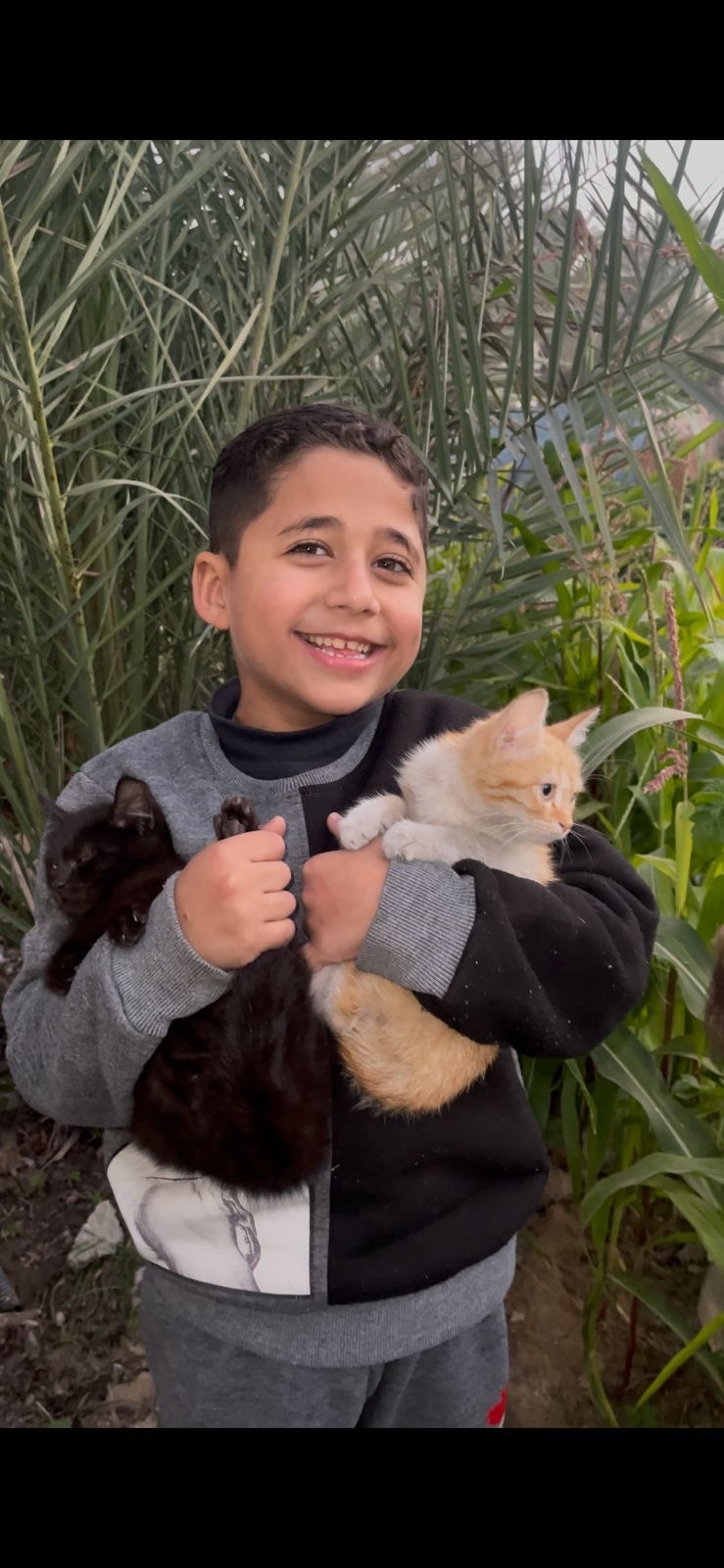 Ahmed, Simba & the Small Farm in Gaza campaign photo, 4 of 5