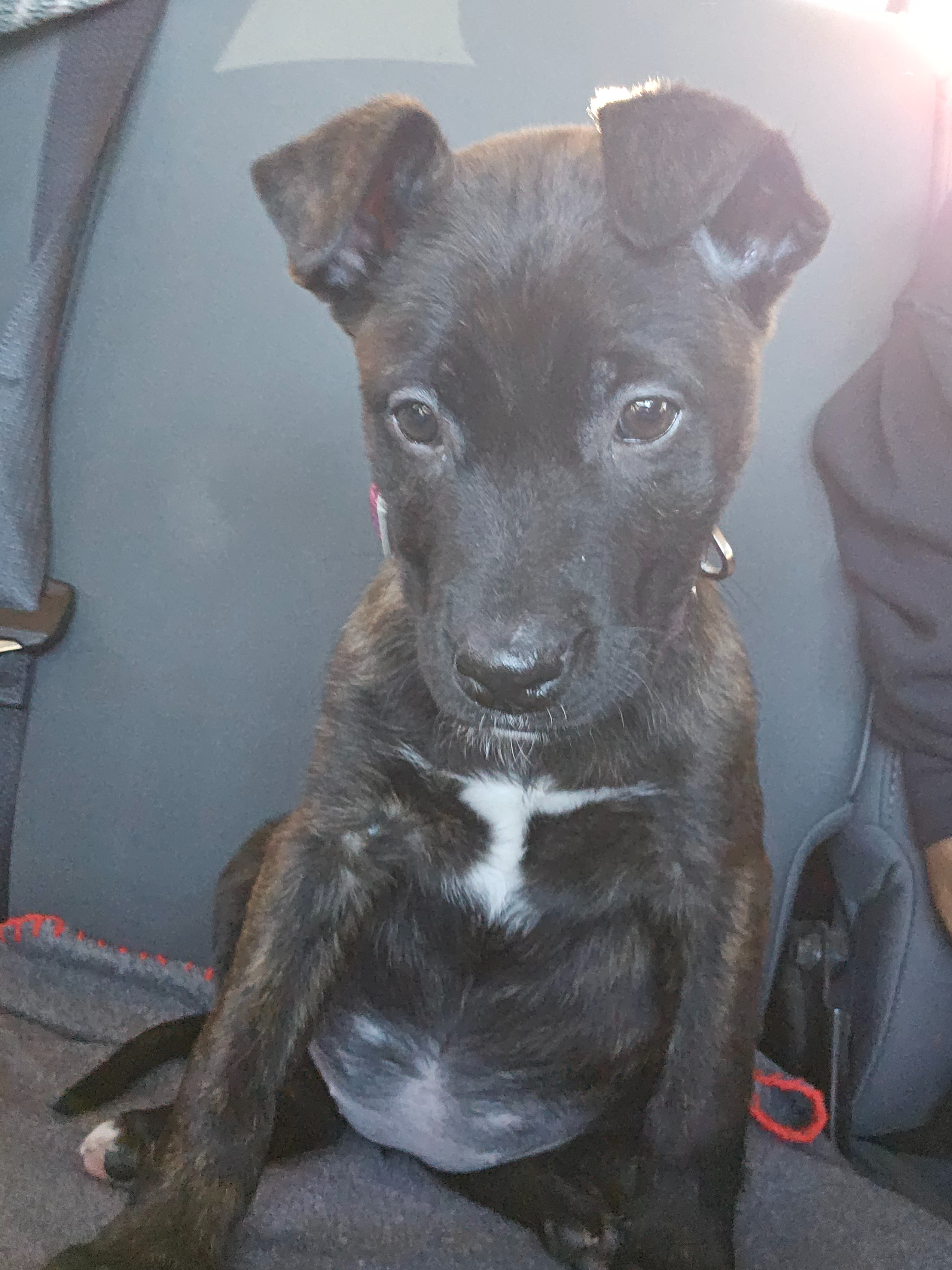 Support Kida's Surgery campaign photo, 2 of 7
