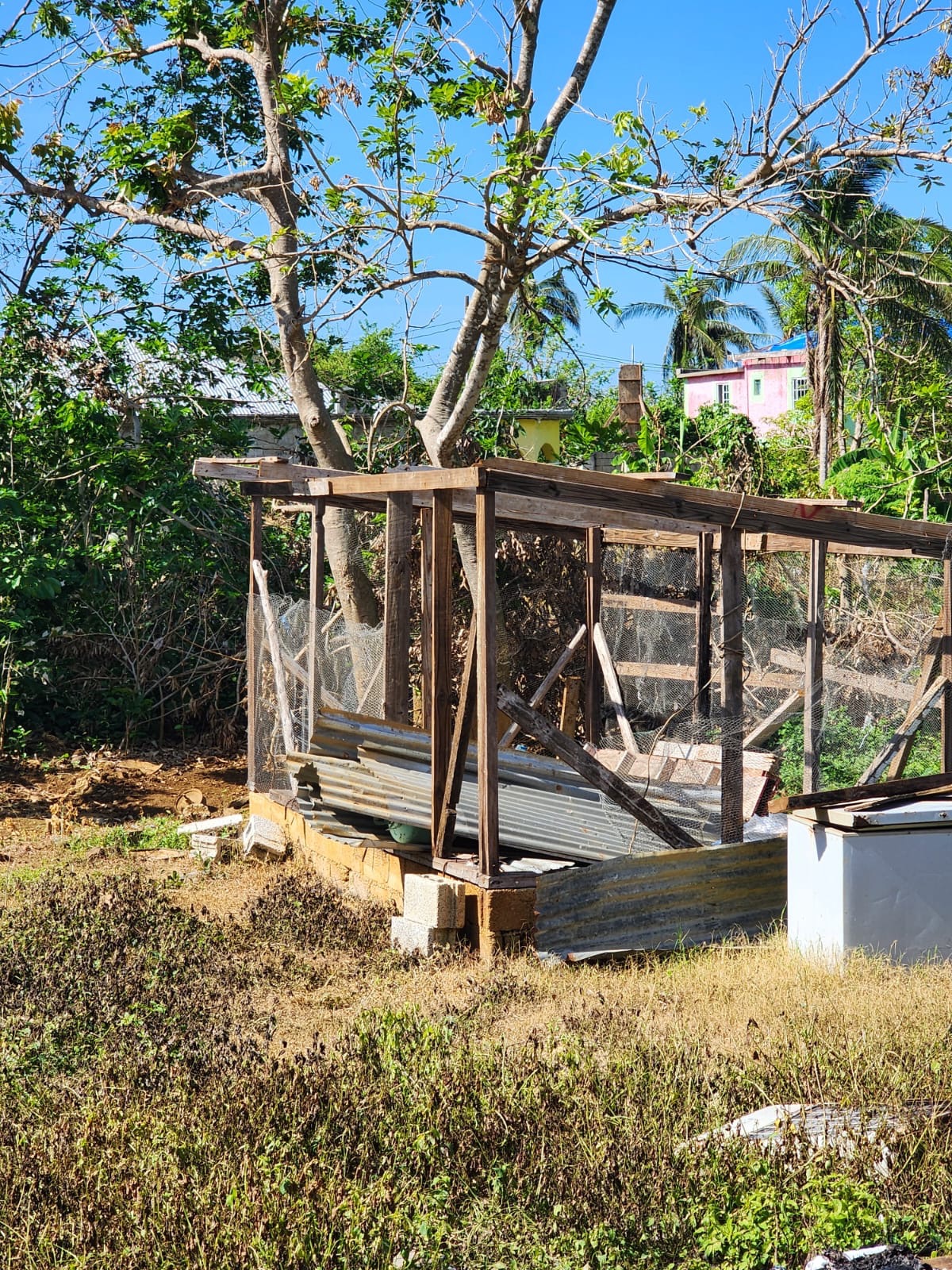 Rebuilding Hope for Women Affected by Hurricane Melissa campaign photo, 4 of 5