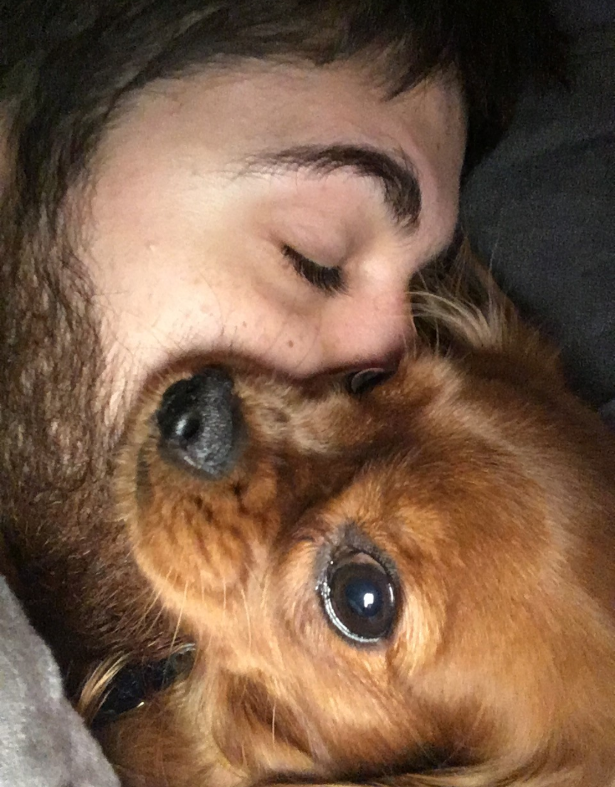 Help Apple Get Lifesaving Surgery campaign photo, 6 of 8