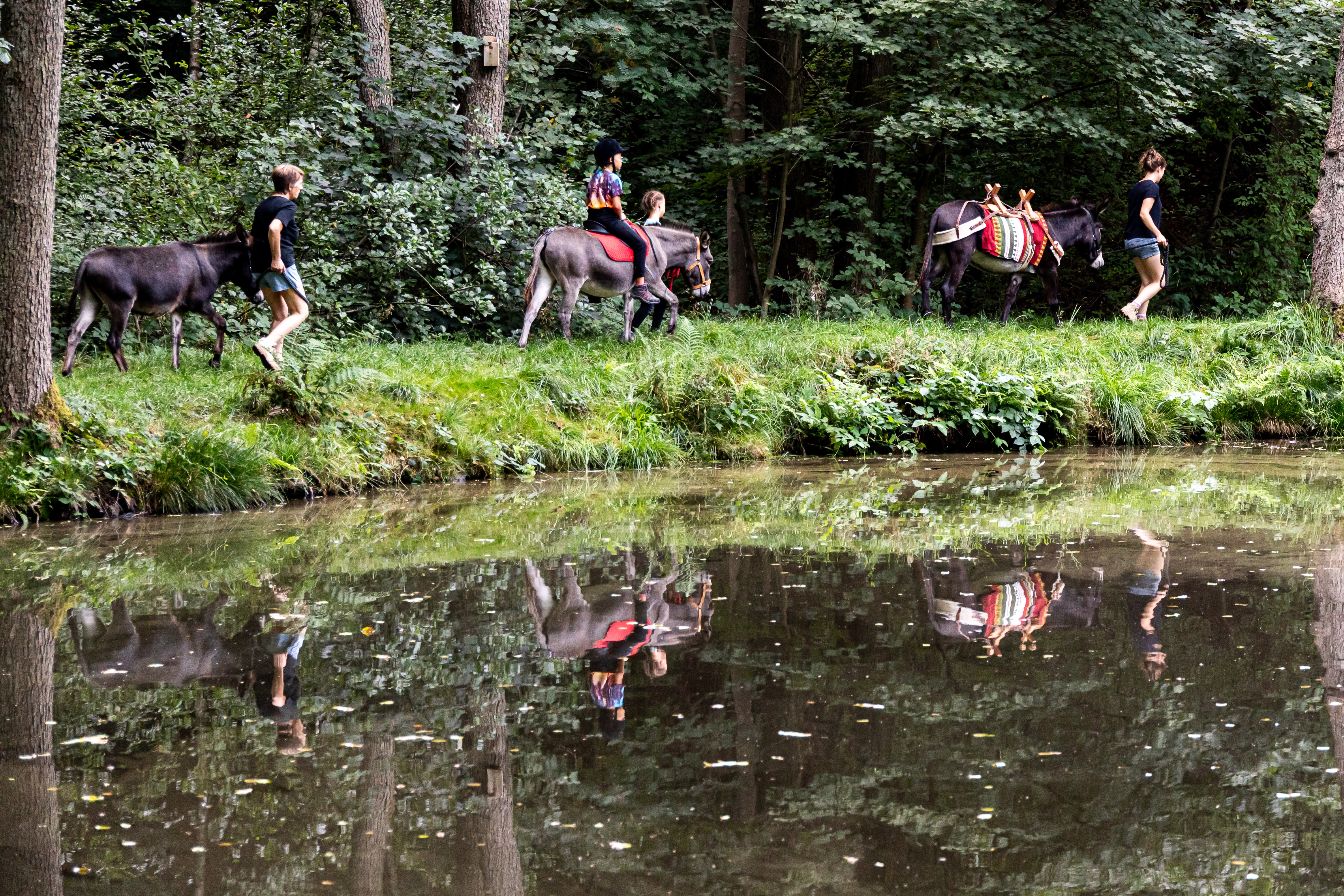 Terrain et installations pour l’Asinerie du Grand Pont campaign photo, 5 of 6