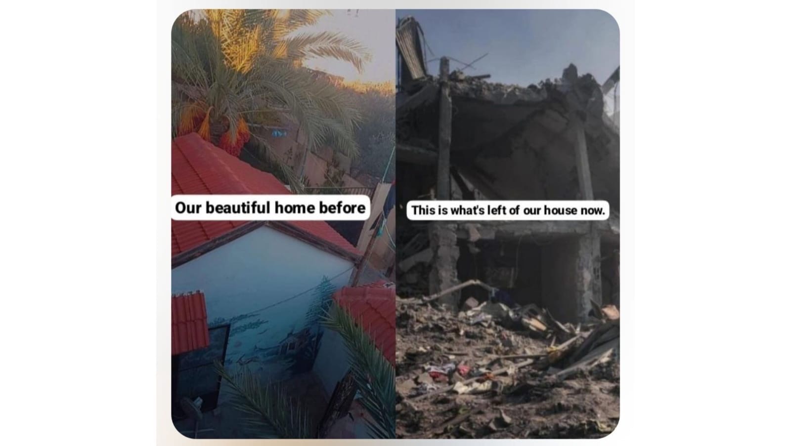 Help a Palestinian family from the besieged Gaza Strip. campaign photo, 7 of 8