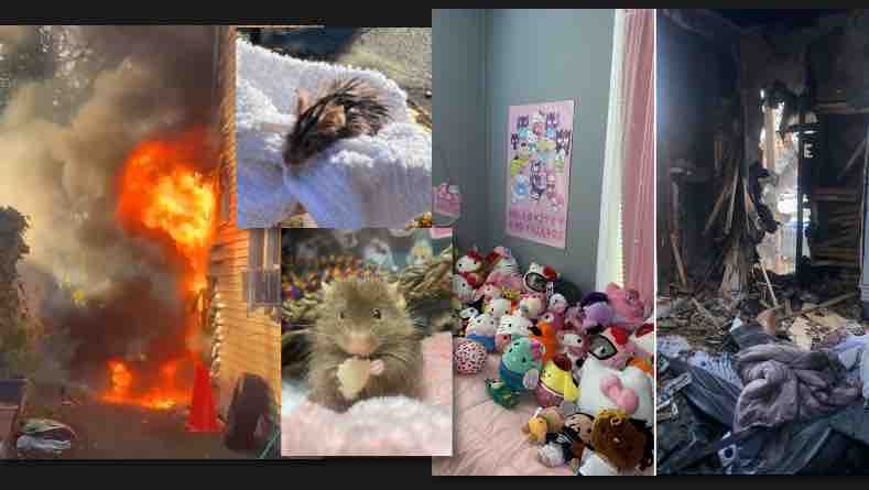 Help Liana & Chris Brown Rebuild After The Fire