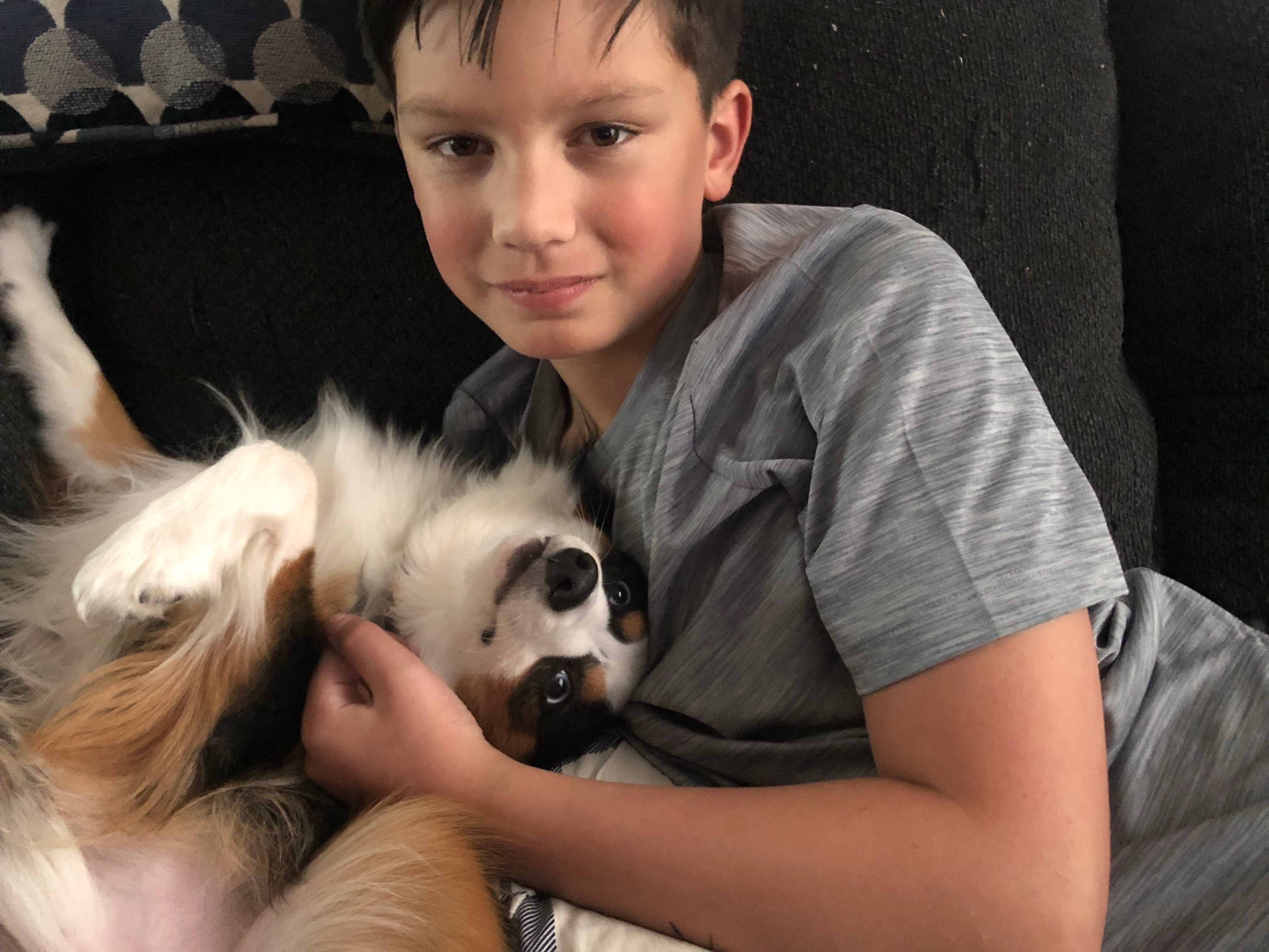 Help Save Neo: Urgent Medical Care for Our Dog campaign photo, 5 of 8