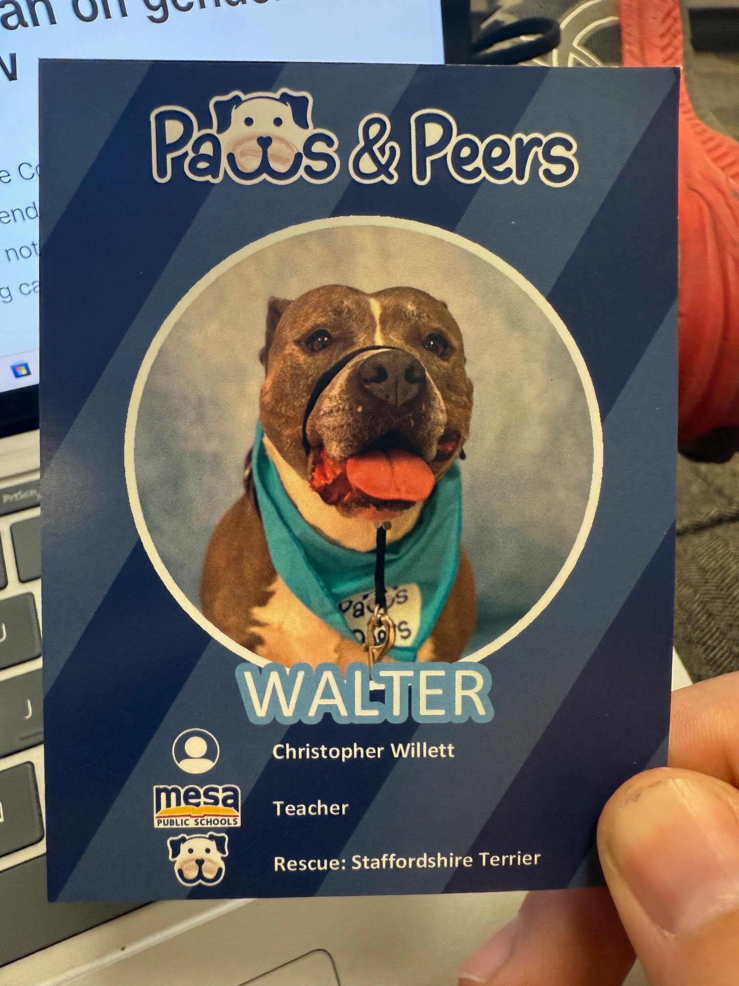 Support Walter's Cancer Recovery campaign photo, 5 of 7