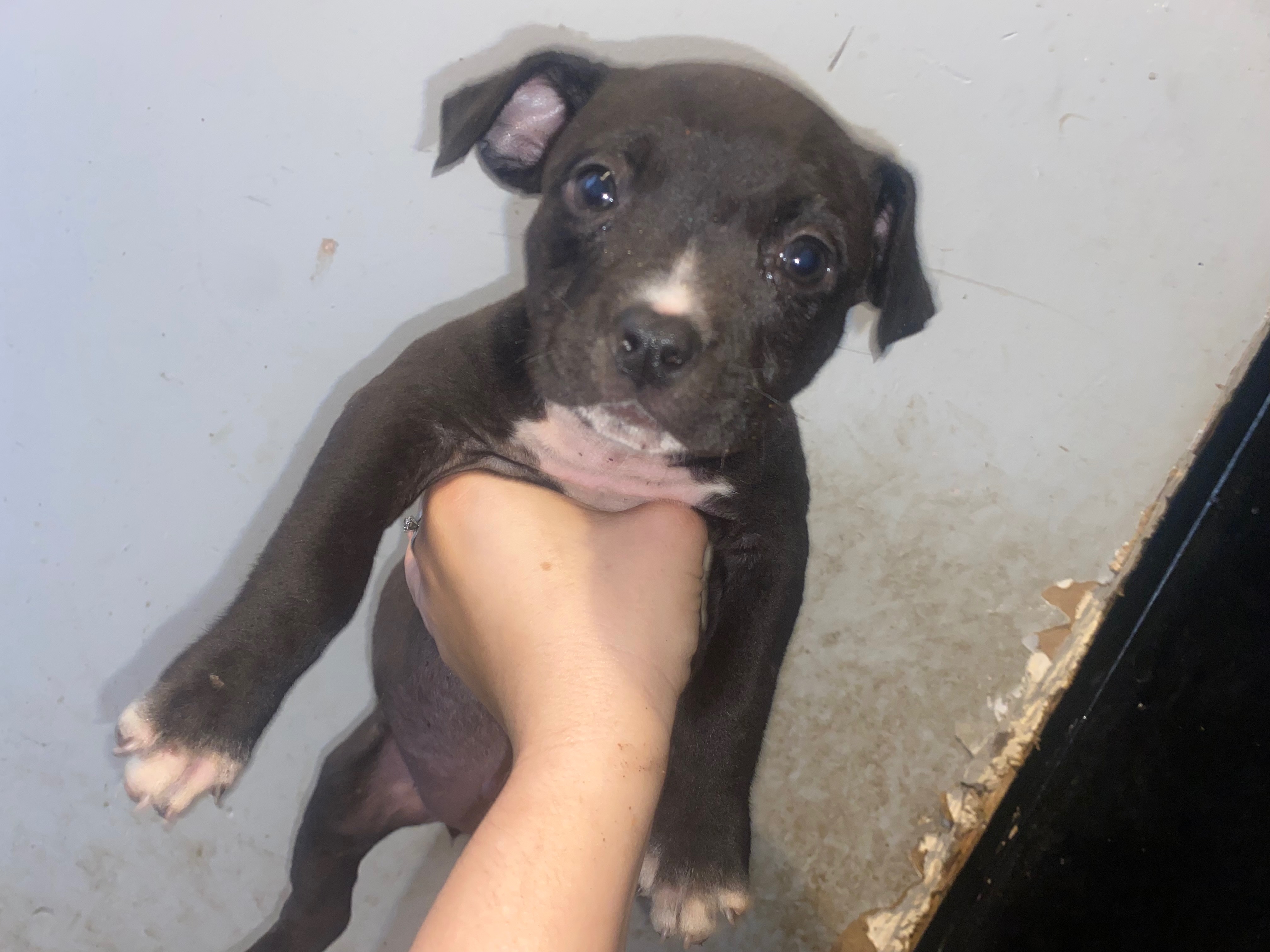 Give Hope to a Neglected Mom and Her 8 Little Ones campaign photo, 4 of 5
