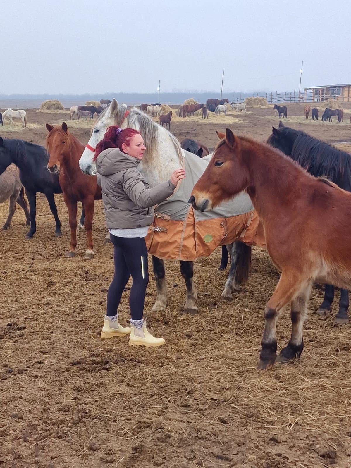 URGENT! The Măriuța Animal Sanctuary Is on the Brink of Shut campaign photo, 7 of 8