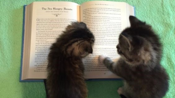 Support a Future College Student photo