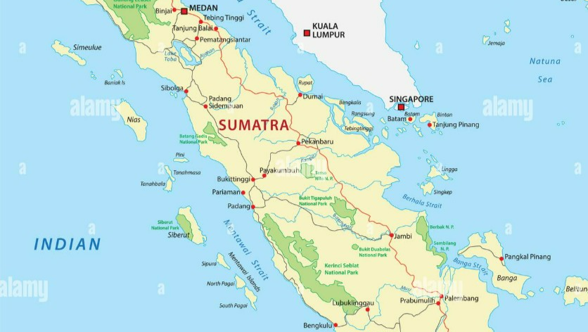Restore the forrest, help the animals  in Island Sumatra. photo