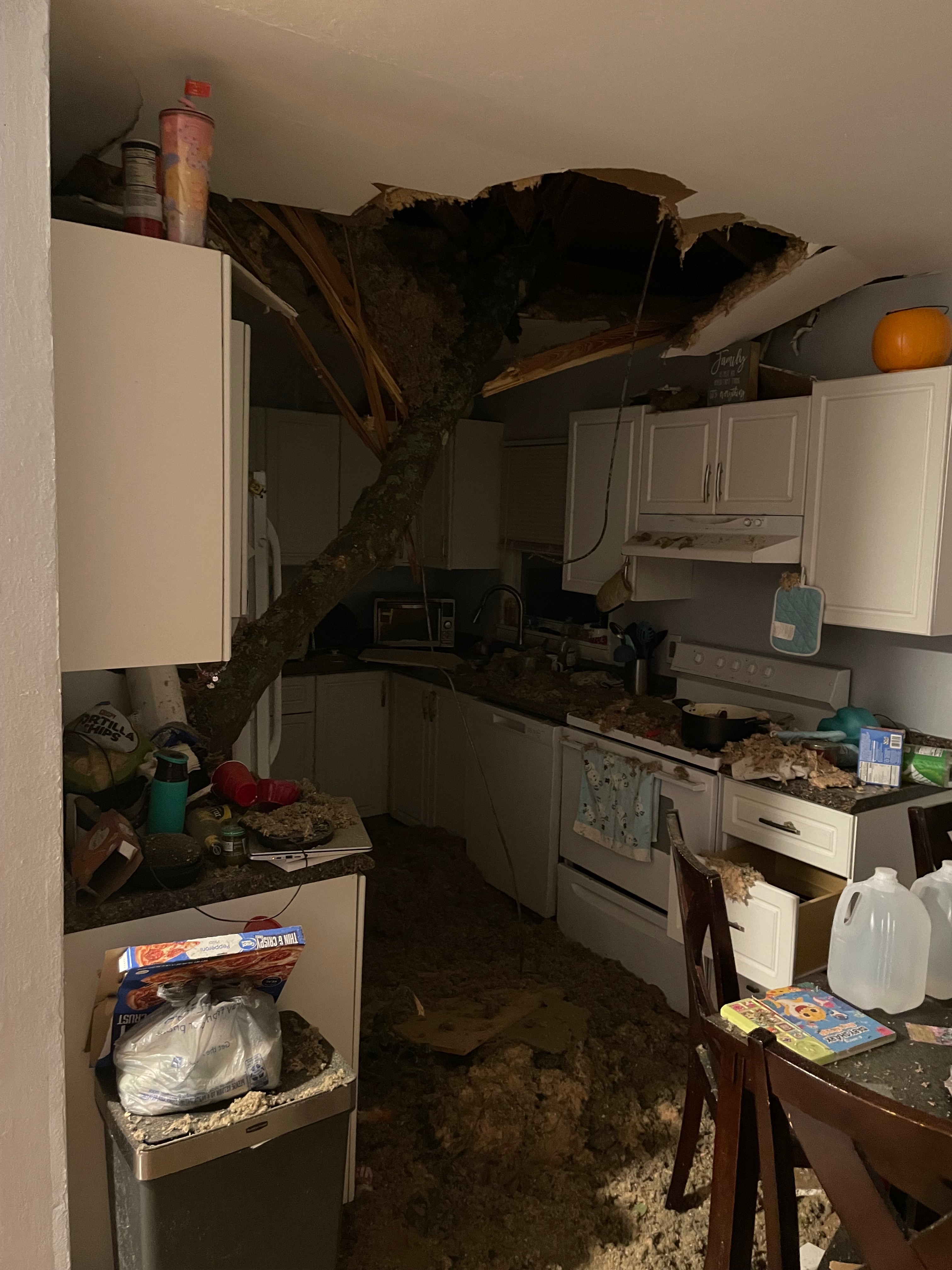 A Tree Fell Through Our Home — Helping Our Family Rebuild campaign photo, 4 of 7