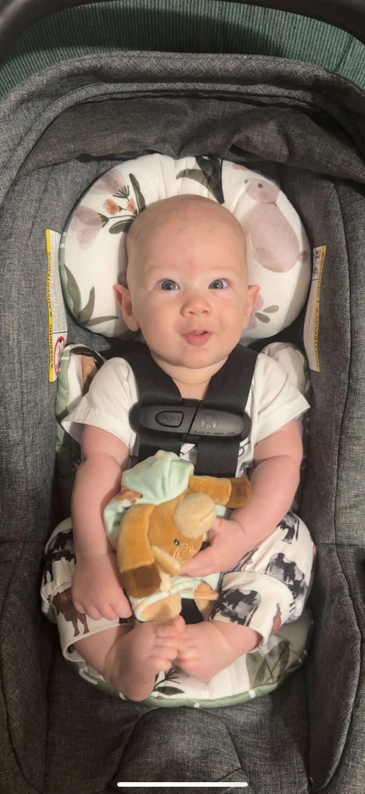 Help Support the Smith Family After the Loss of Baby Stetson campaign photo, 4 of 8