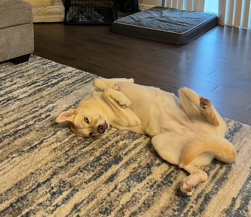 Help Lena Overcome Her Medical Battle campaign photo, 6 of 7