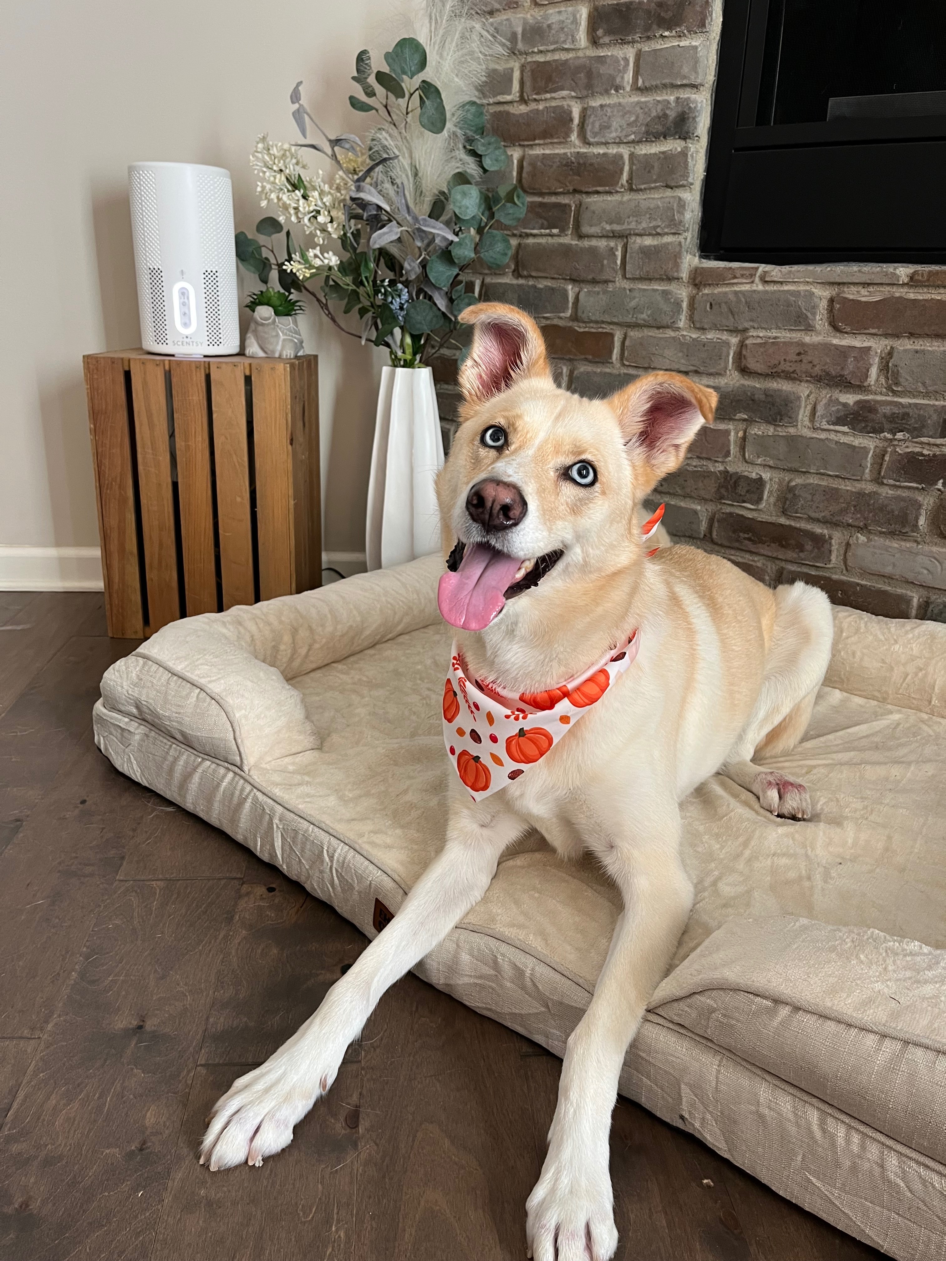 Help Lena Overcome Her Medical Battle campaign photo, 4 of 7