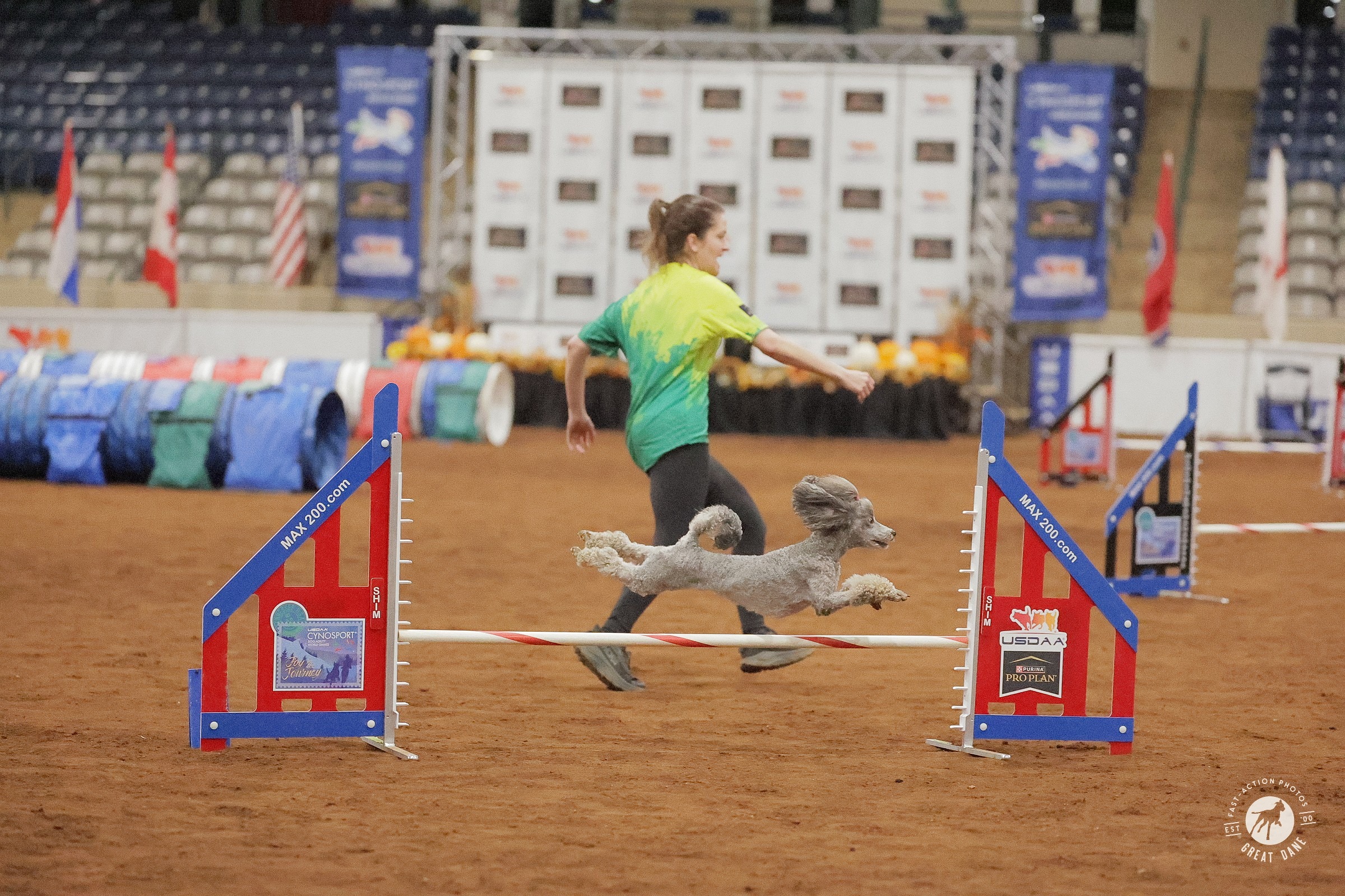 Help Reese & Havana Compete for Team USA in Spain campaign photo, 4 of 7