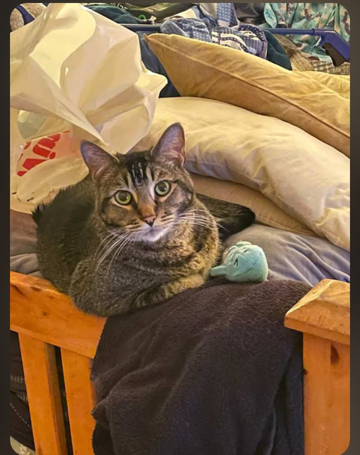 Not All Hero's Wear Capes-Some Have Whiskers campaign photo, 5 of 8