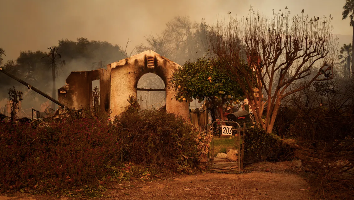 Help Rebuild After the Palisades Fire photo