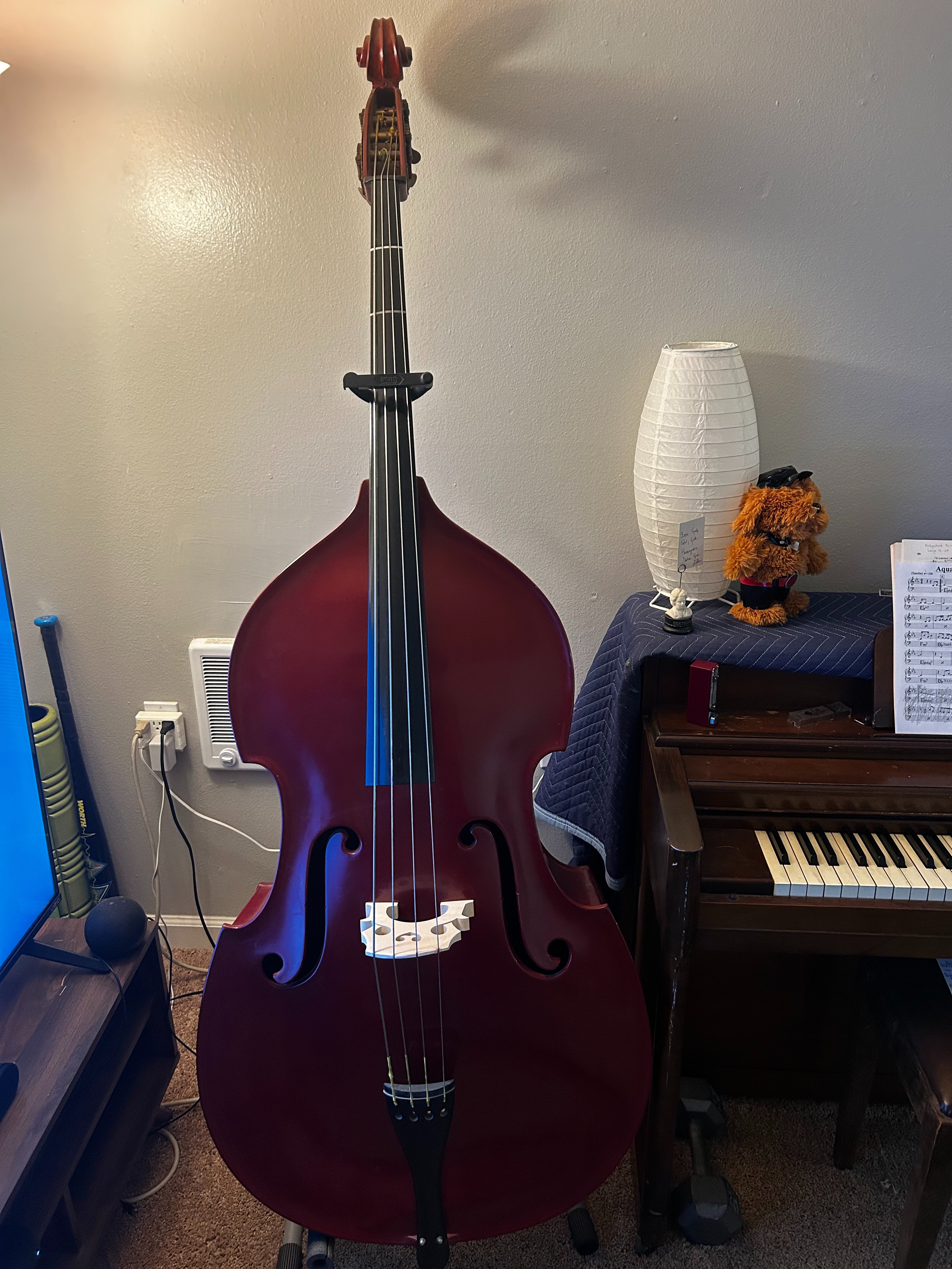 Make the Donated Upright Basses Performance Ready campaign photo, 2 of 4