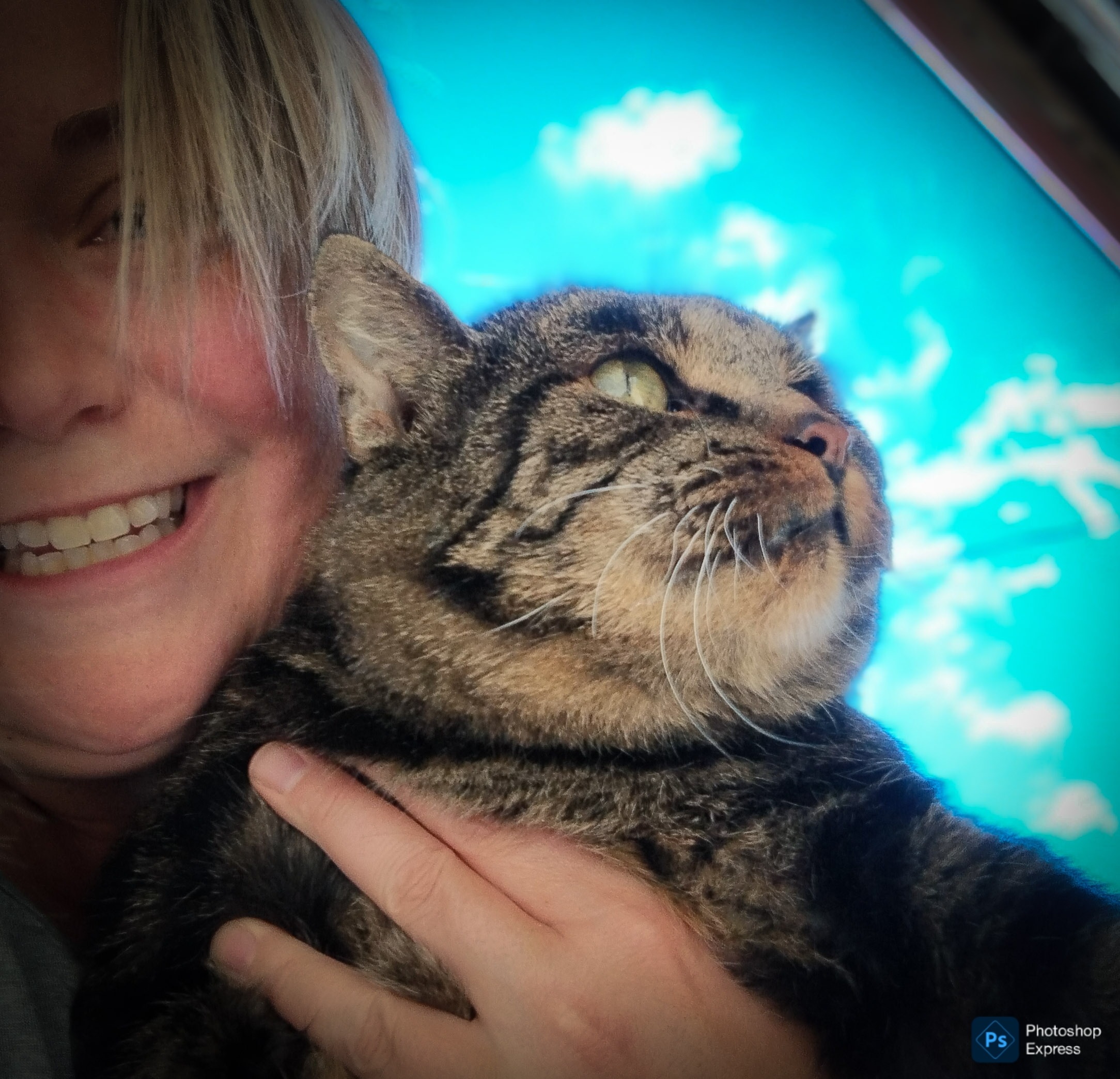 Fur-Ever Loved Cat Rescue campaign photo, 2 of 8