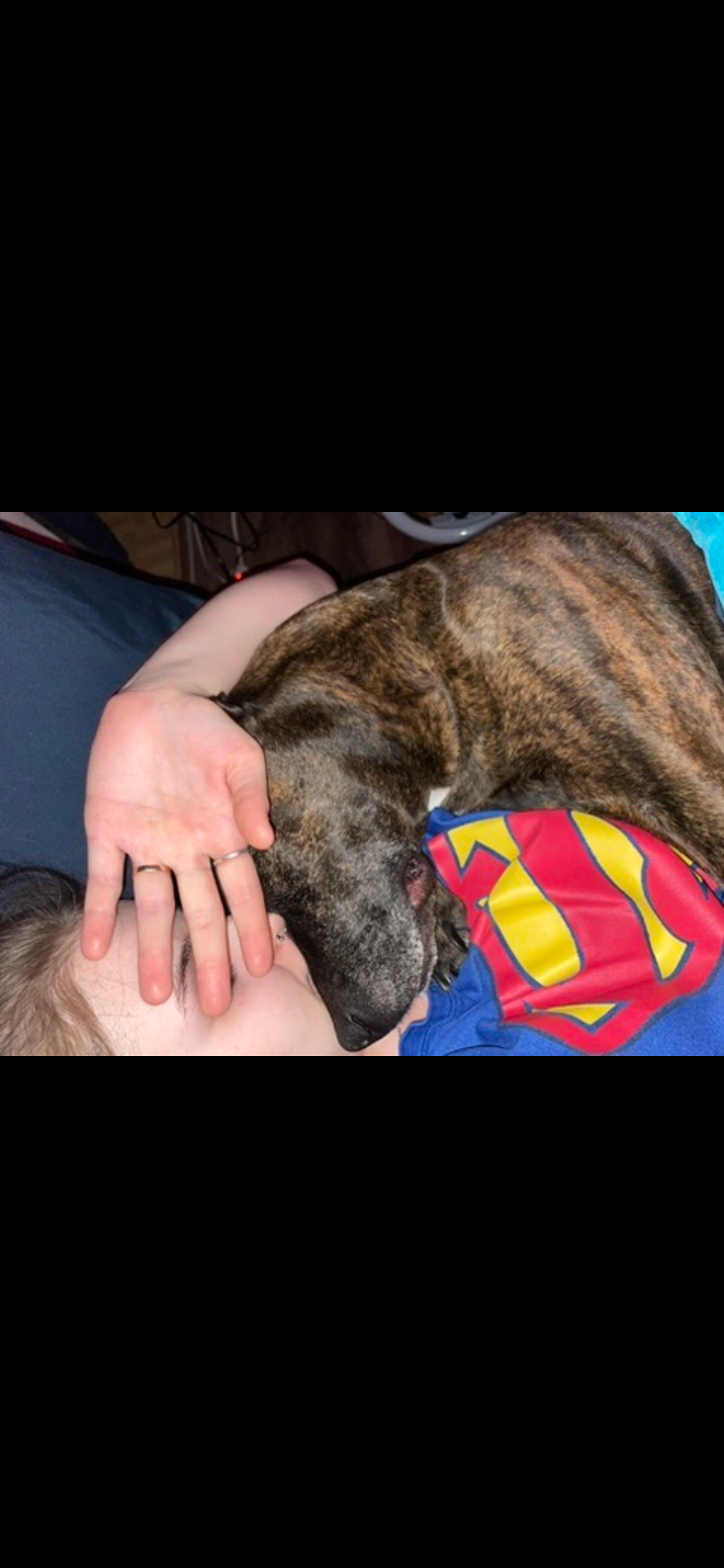 please help my fur baby get her surgery campaign photo, 6 of 8
