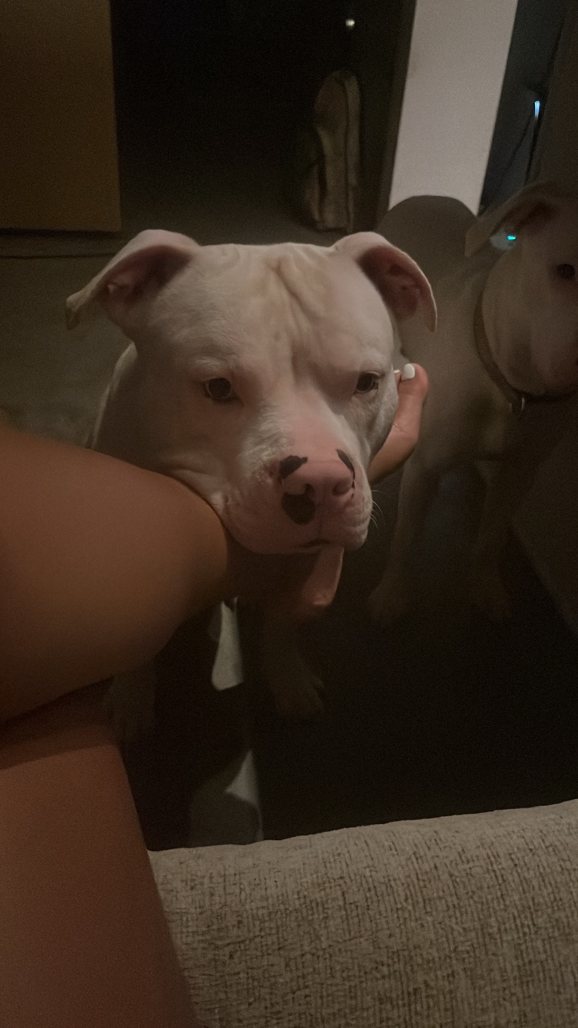 Help Tommy Get Lifesaving Surgery campaign photo, 5 of 6