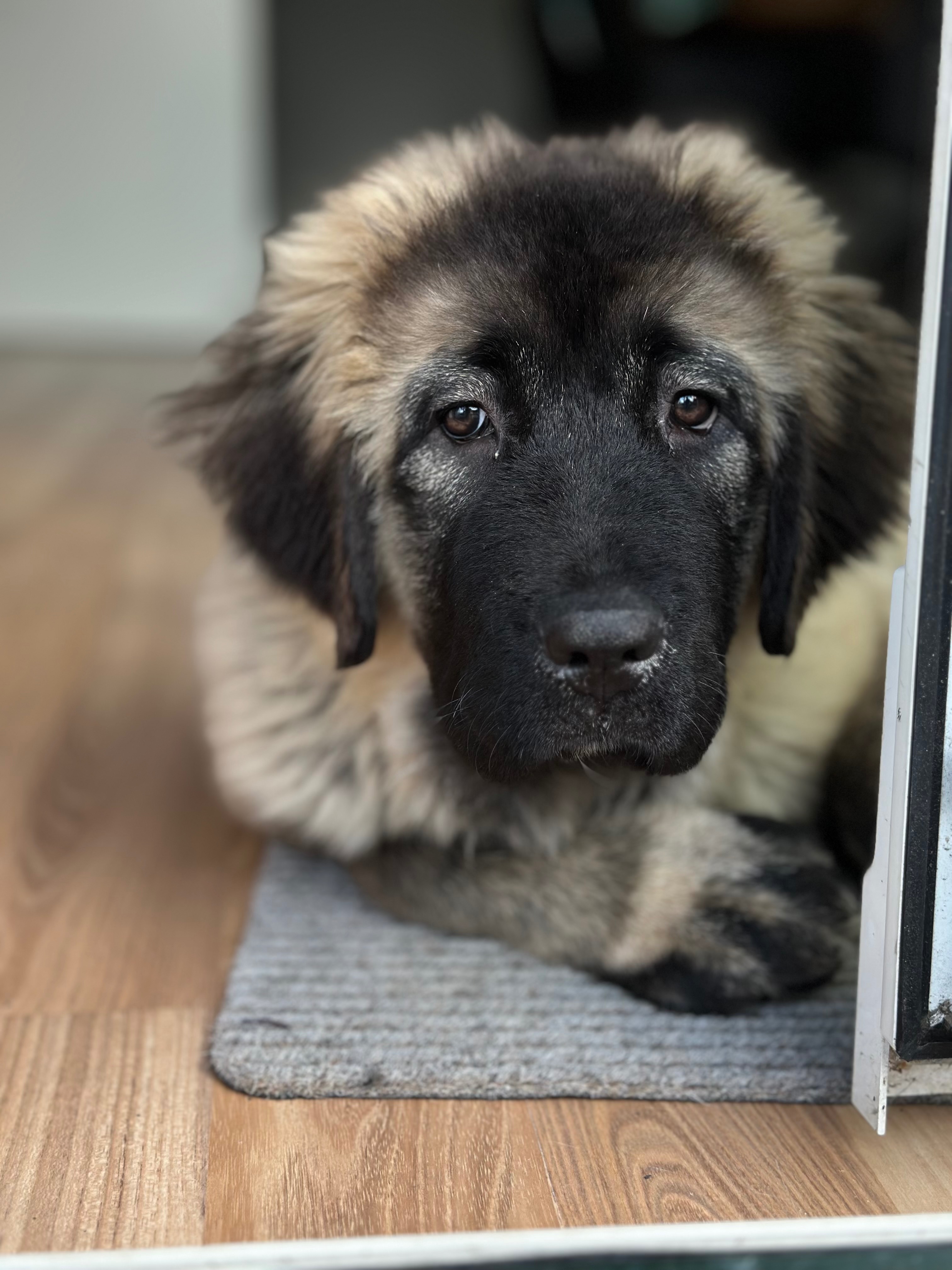 Hilfe für Masha ❤️ campaign photo, 7 of 7