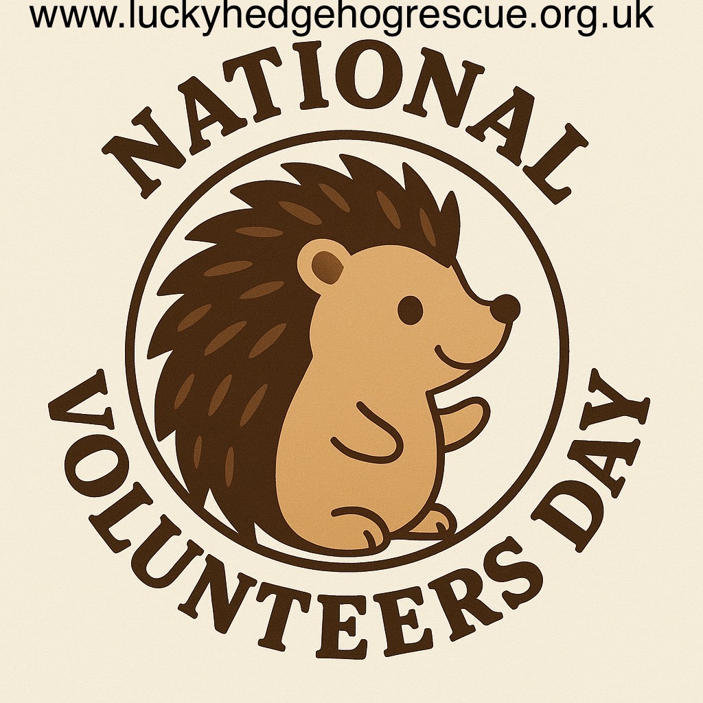 Treat a volunteer campaign photo, 2 of 5