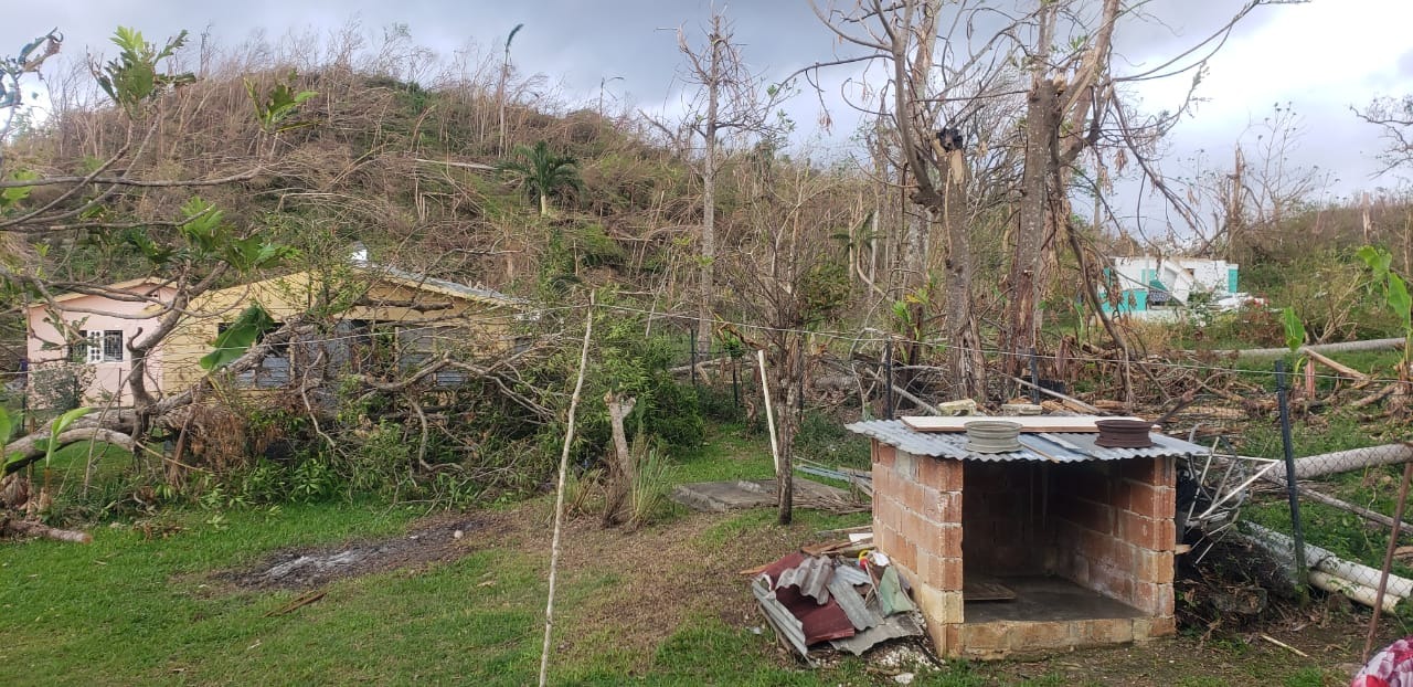 Hurricane Melissa Relief Fund for Bro Gus and Indie campaign photo, 4 of 7