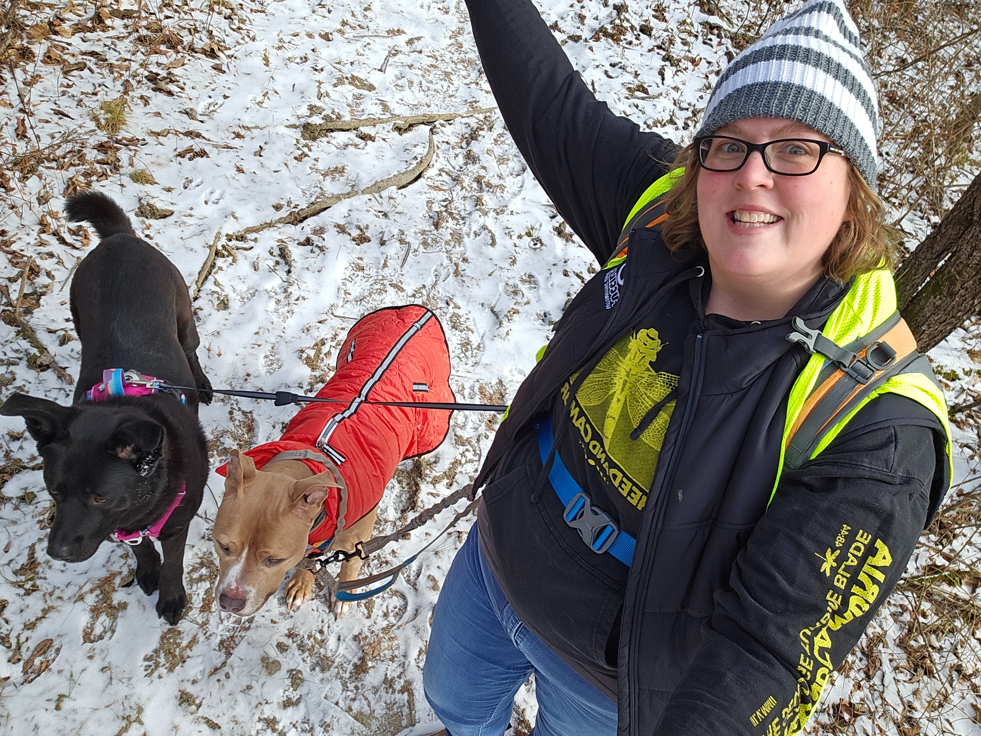 Help Krystin and Her Dogs Through Tough Times campaign photo, 4 of 6