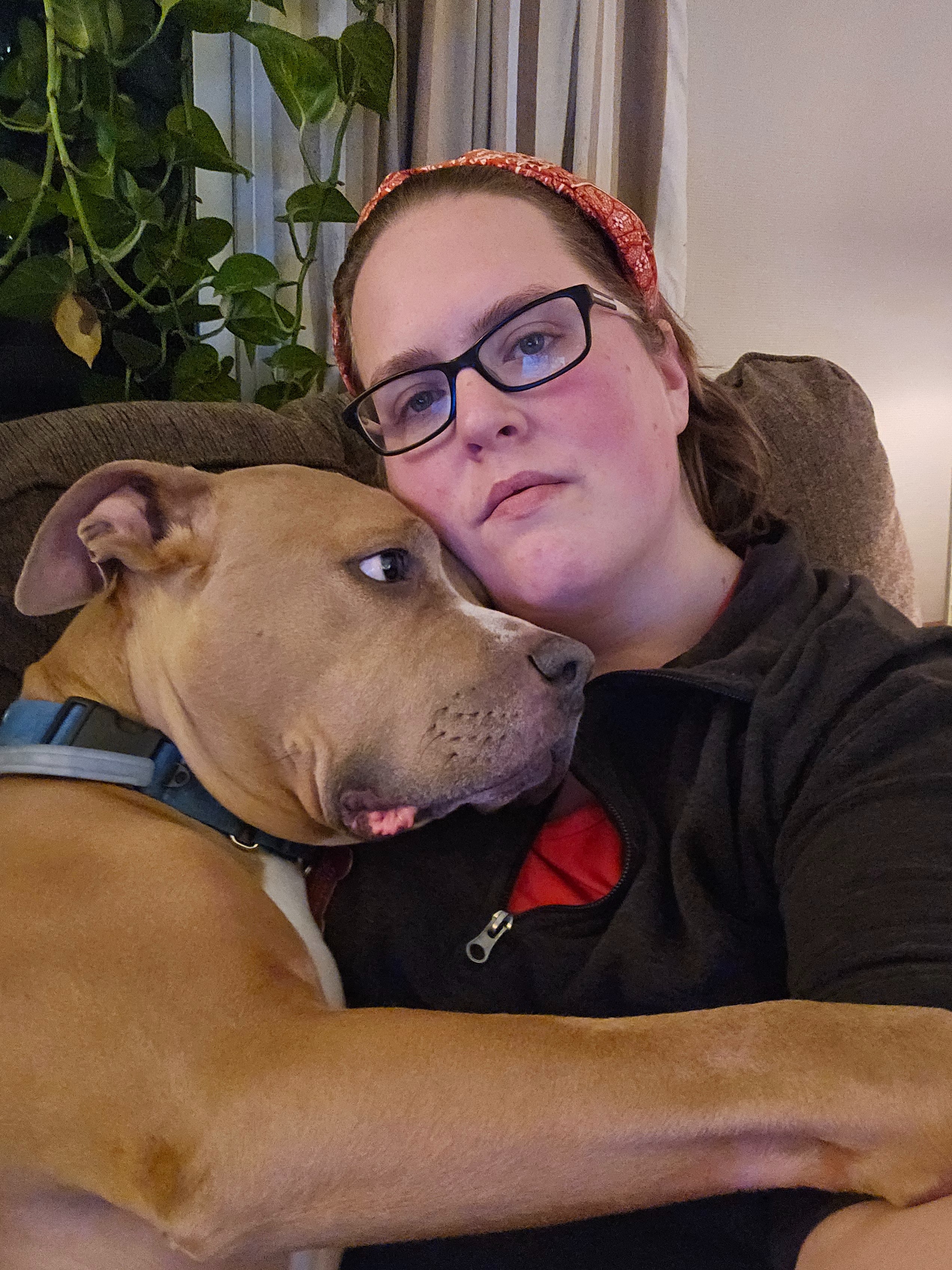 Help Krystin and Her Dogs Through Tough Times campaign photo, 2 of 6