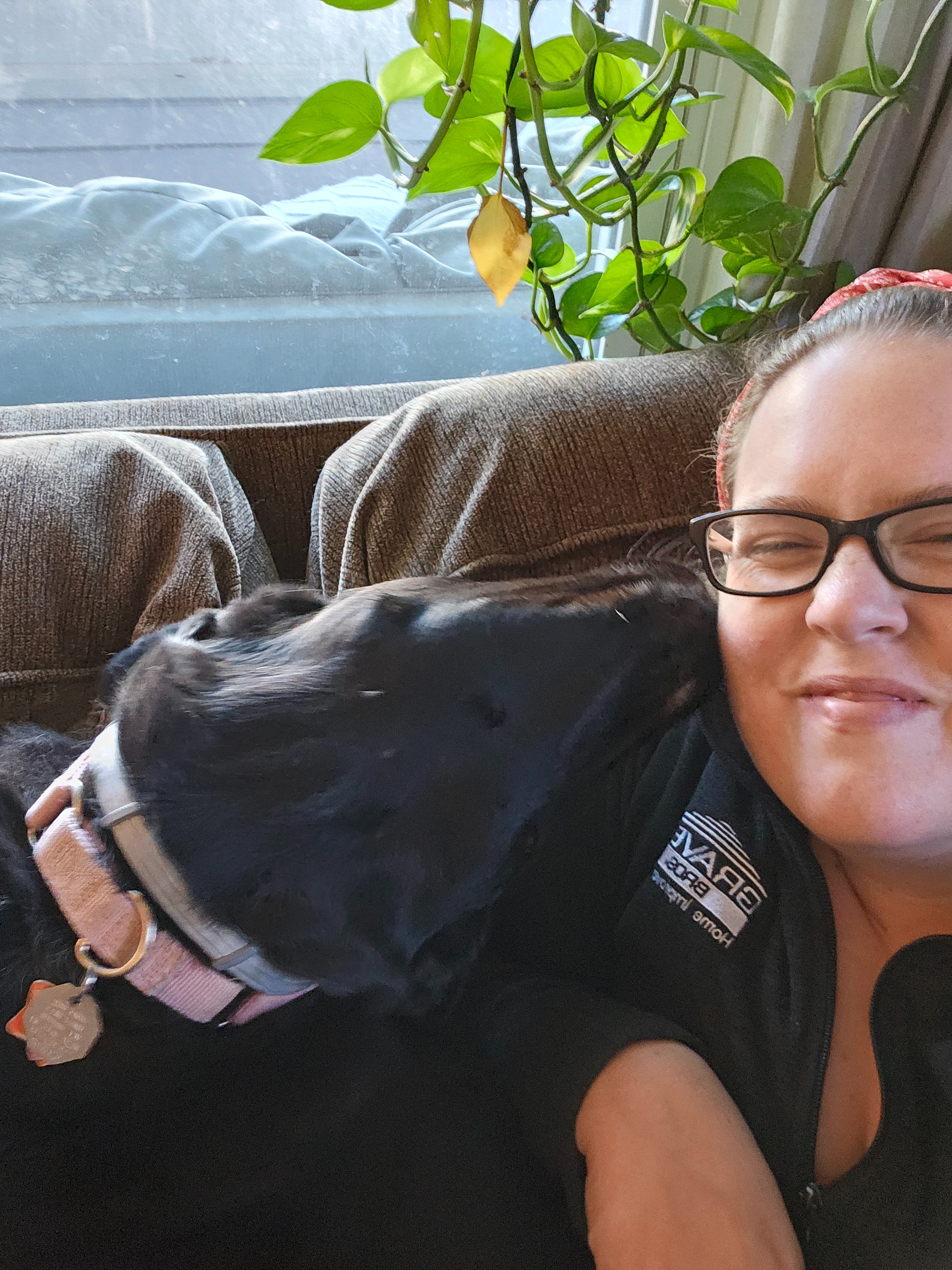 Help Krystin and Her Dogs Through Tough Times campaign photo, 5 of 6