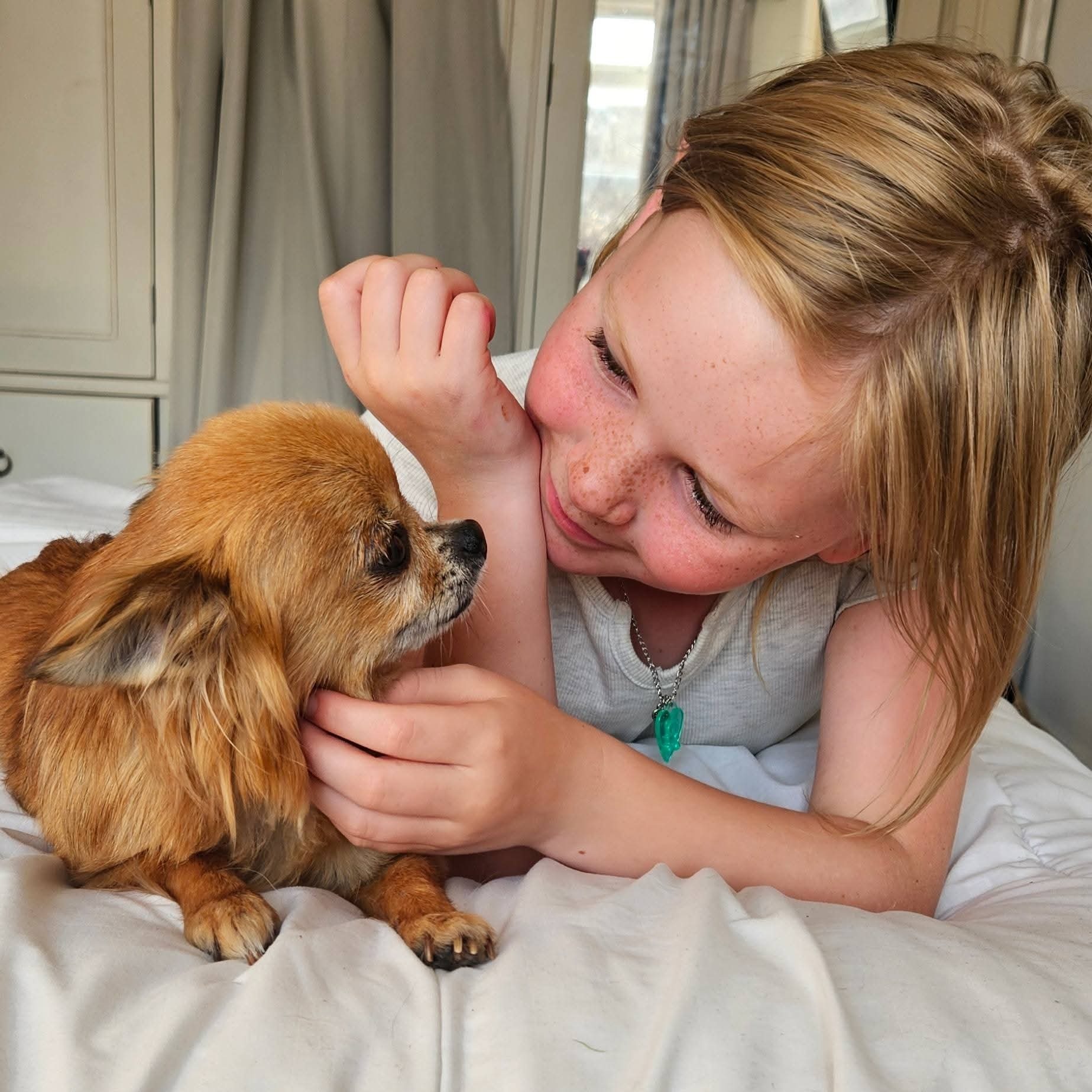 Please help recently rescued pup, Clover, with vets bills campaign photo, 6 of 7