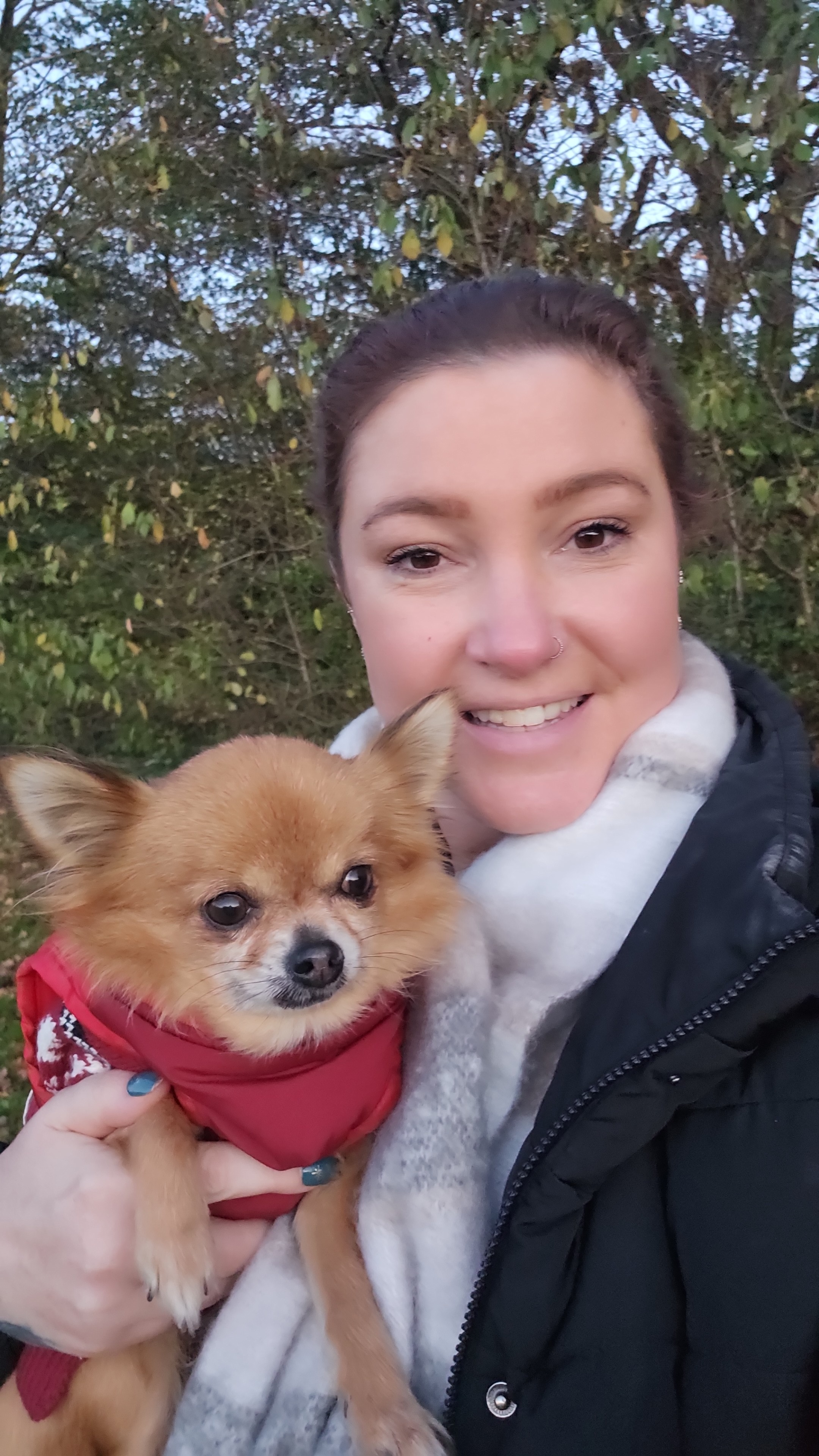 Please help recently rescued pup, Clover, with vets bills campaign photo, 4 of 7