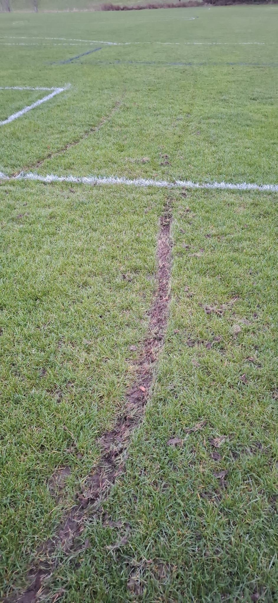 Protect and maintain our pitches campaign photo, 7 of 8