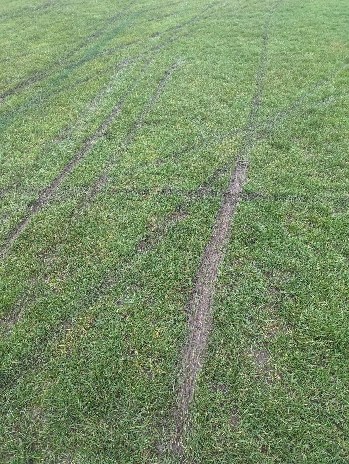 Protect and maintain our pitches campaign photo, 5 of 8